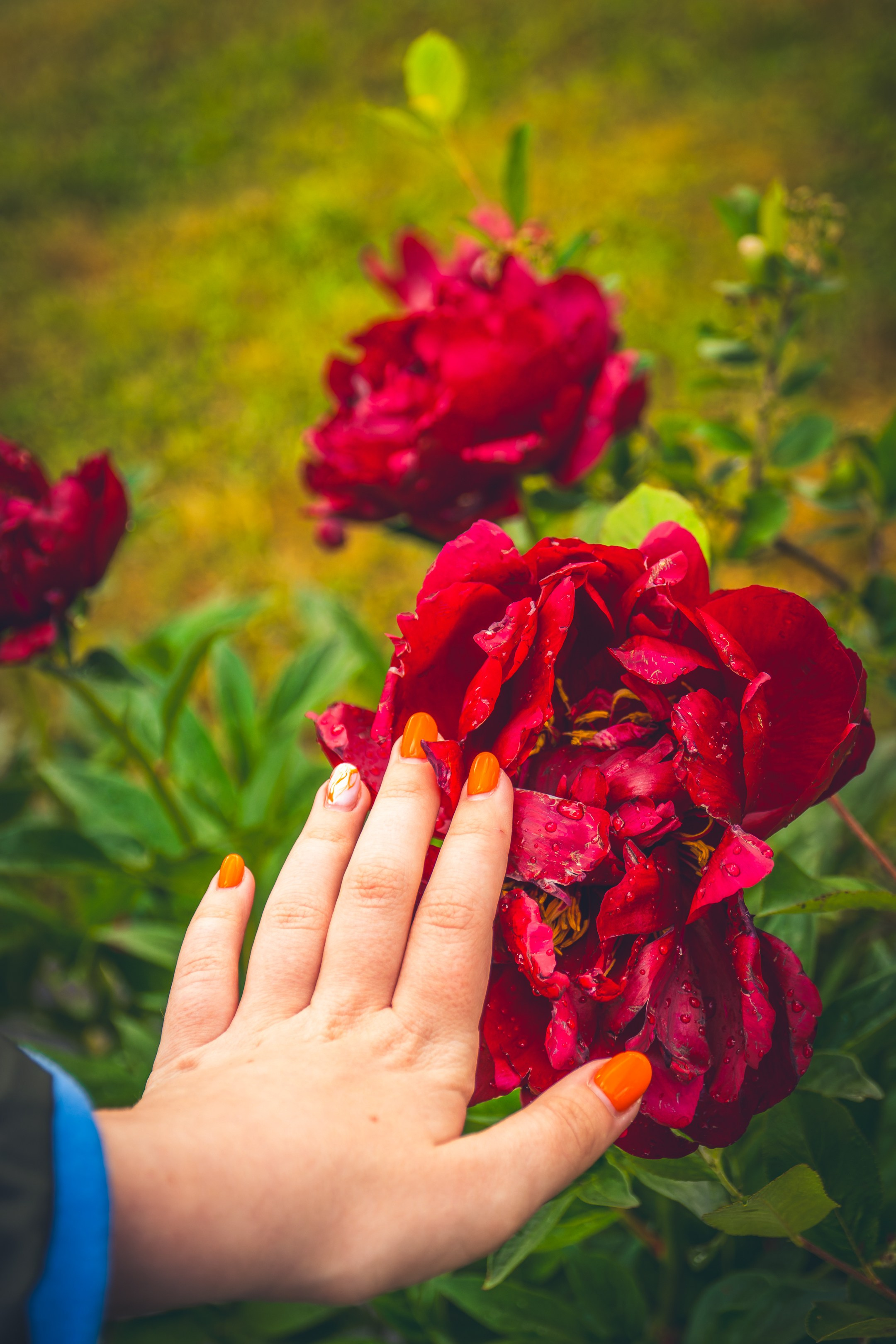 Saarema, reis. Nebula 25 — Fotod teie hingele