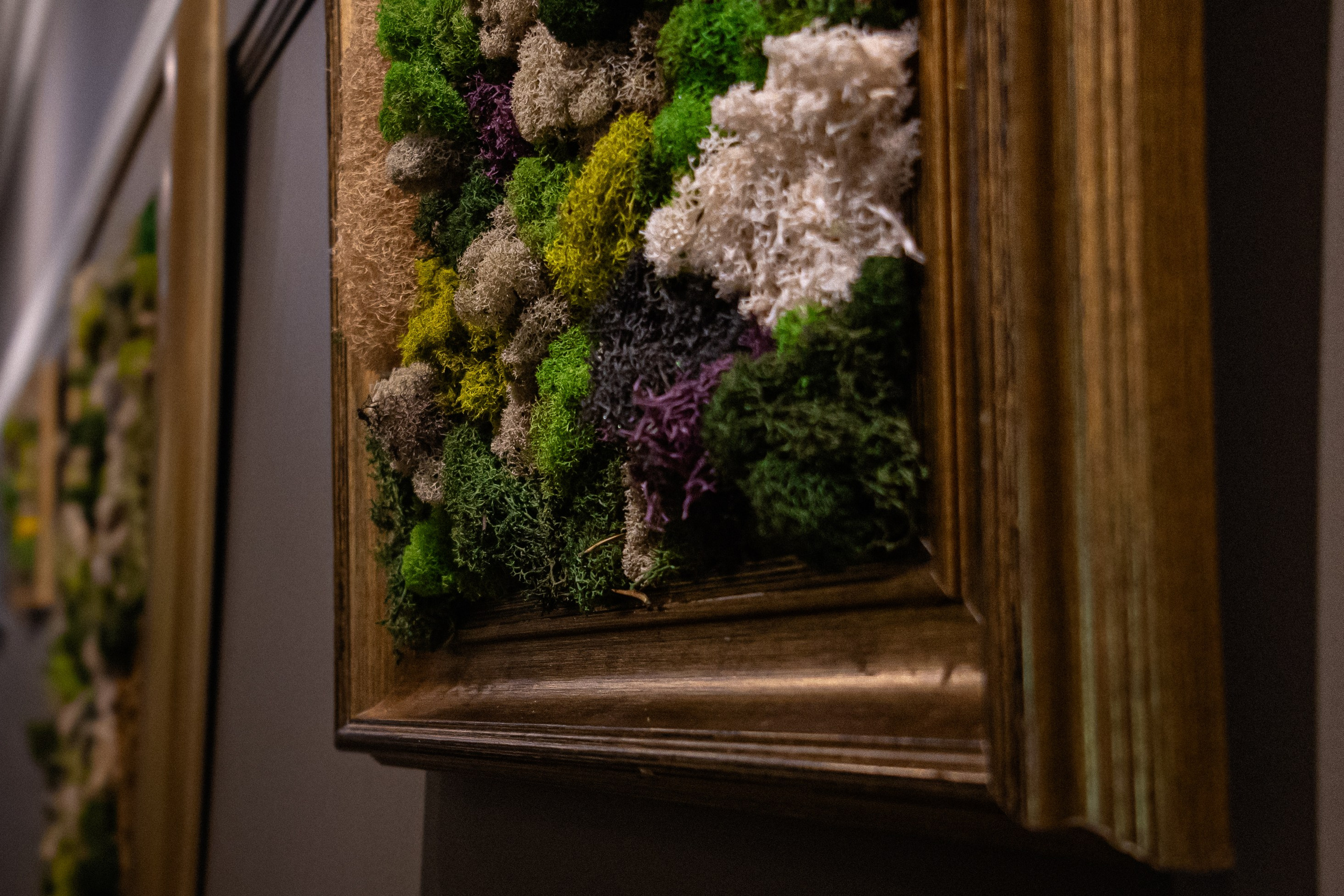 Anna & Moss magic, Content. Yana Bobrova | Artistic Photography