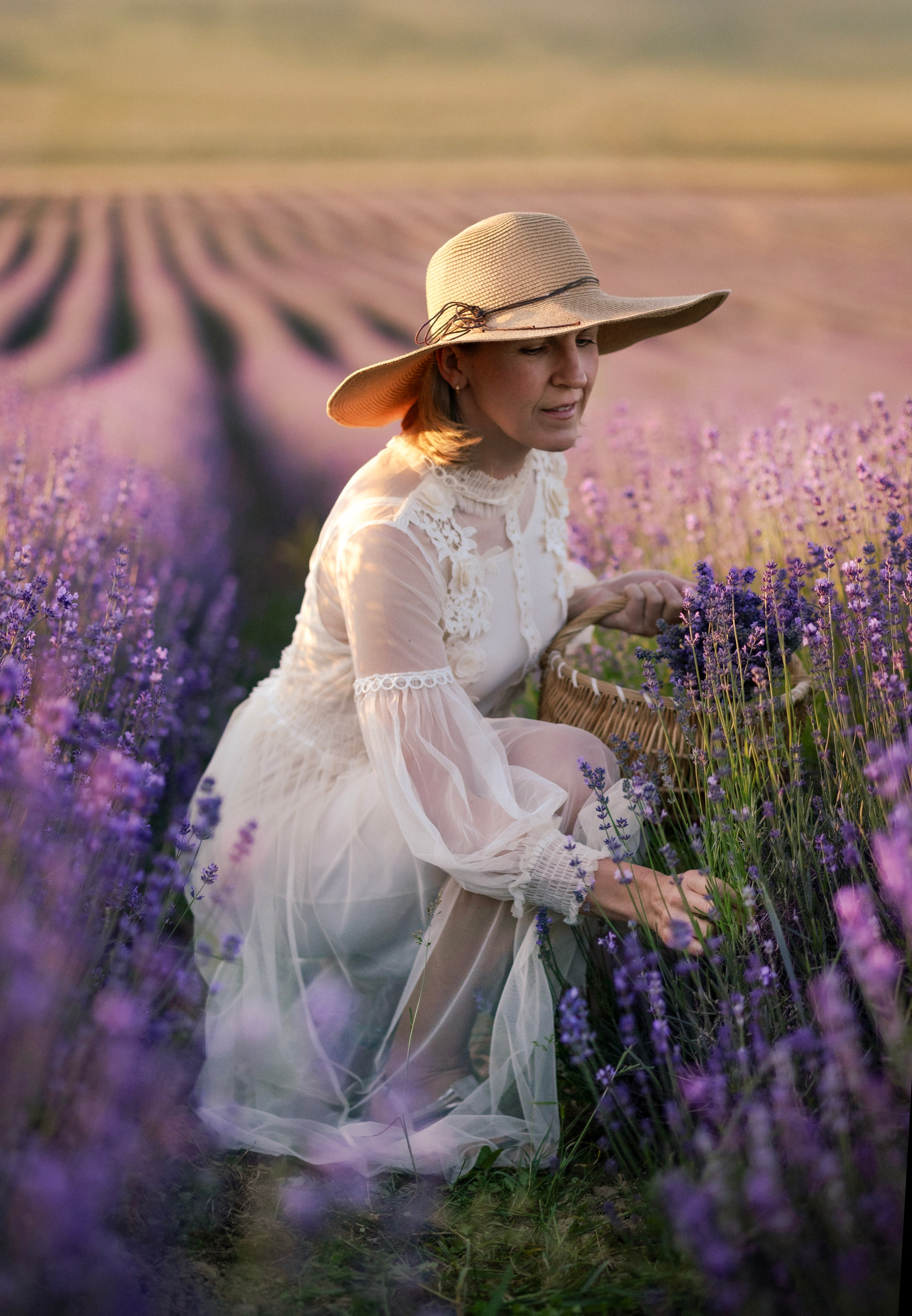 Lavendel. Photographer in Munich