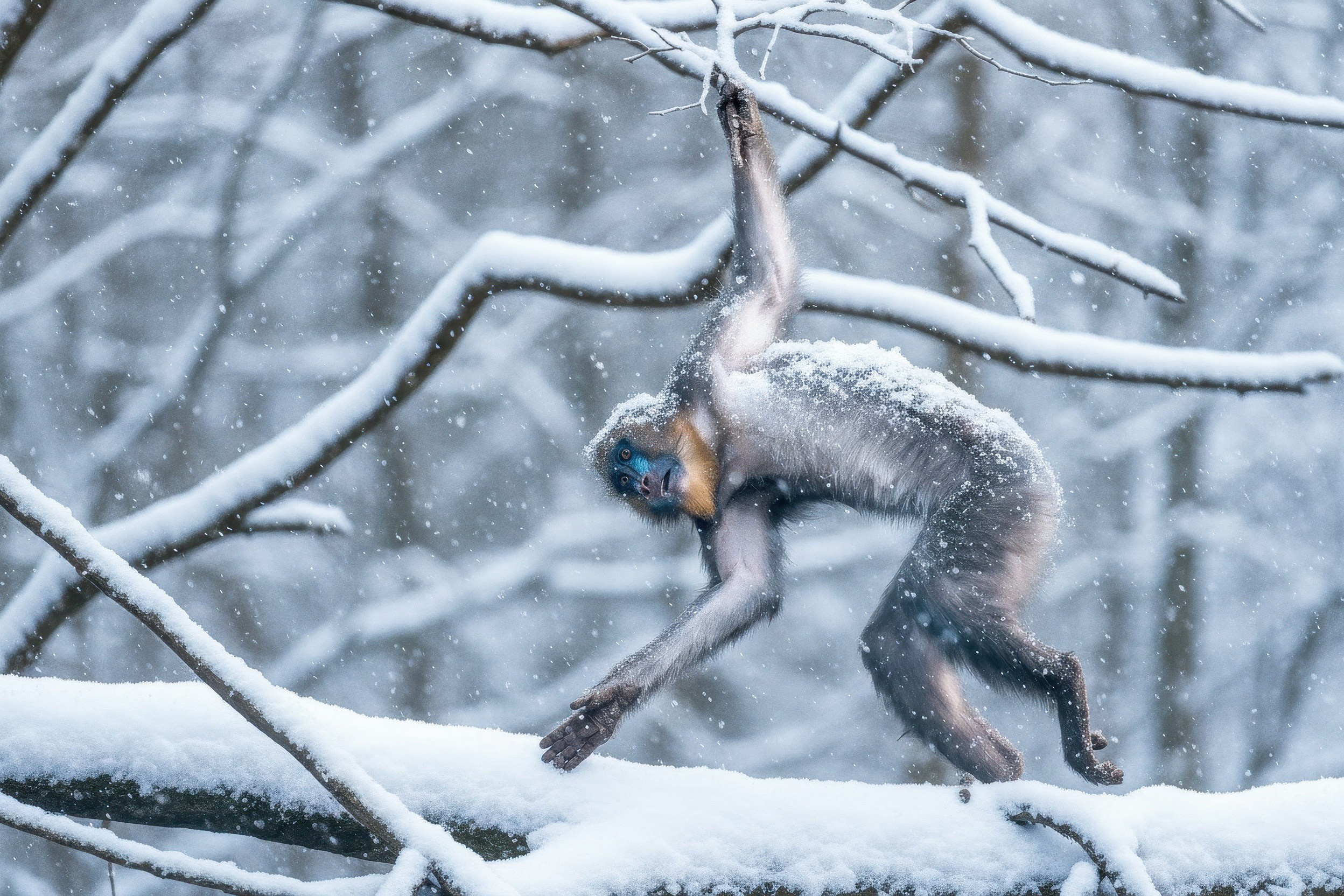 AI Turns Photos Into Winter — How Artificial Intelligence Is Changing Photography Style, Seasons & Visual Storytelling. Emin Kuliyev — Award-Winning Wedding Photojournalist NYC & USA | Best Wedding Photographer Known for Candid, Timeless Moments