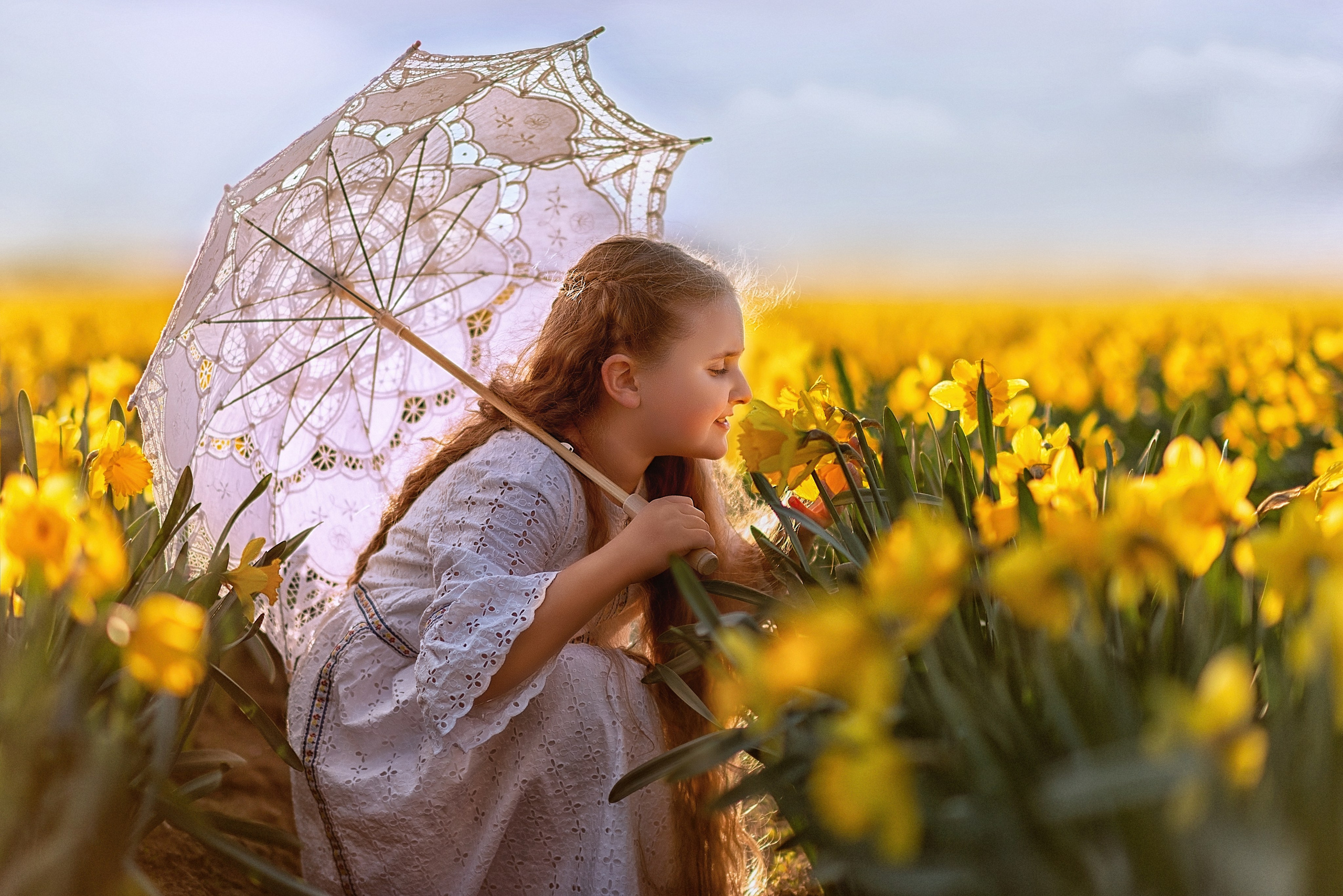 Daffodils. Wedding & portrait photography in the Seattle Area. Helen Michelle photographer