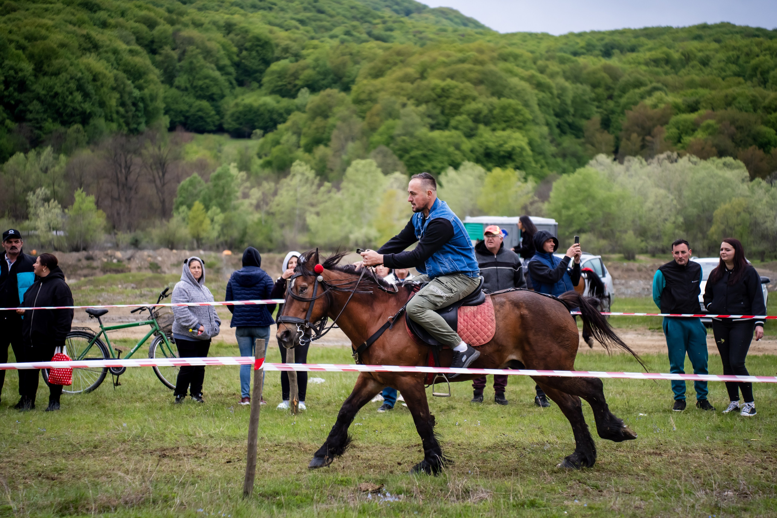 Concurs Ecvestru Vărbilău ediția a 4-a. Mihai Alexandra Events