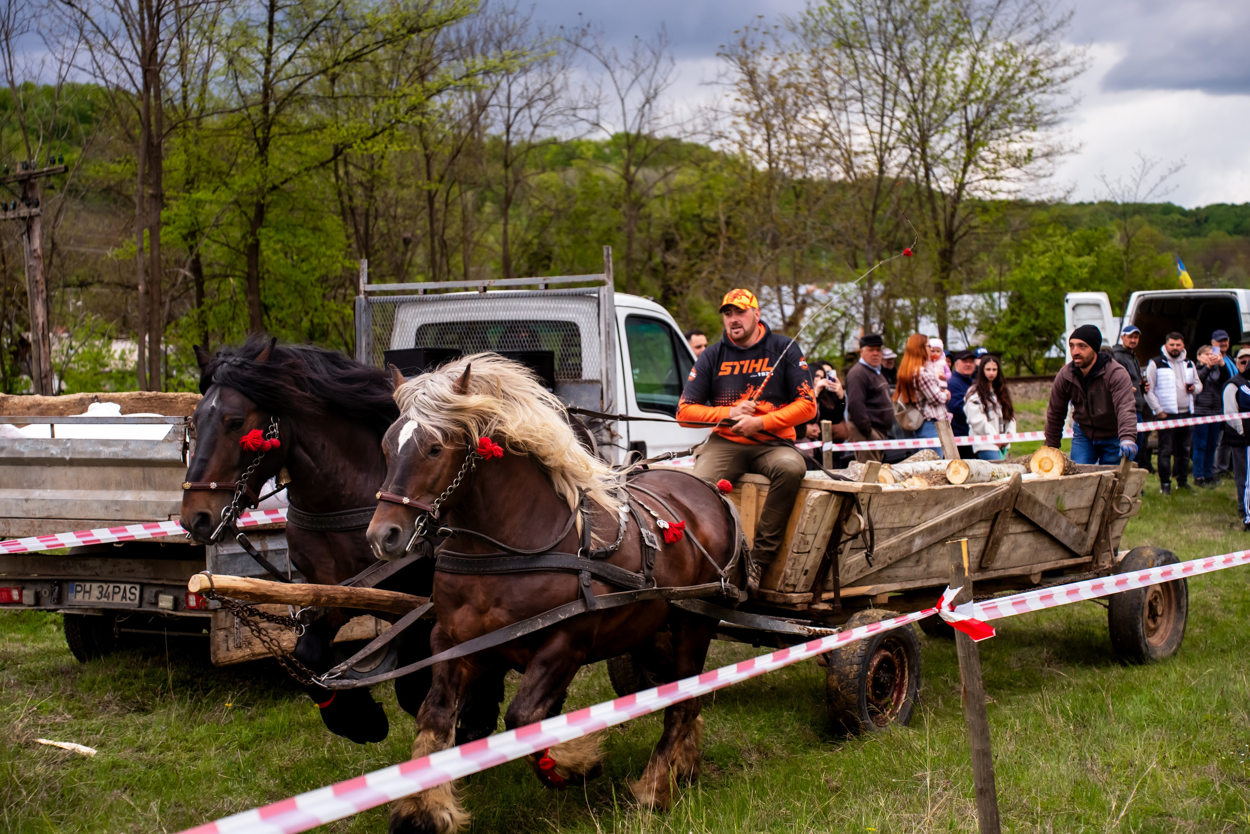 Concurs Ecvestru Vărbilău ediția a 4-a. Mihai Alexandra Events