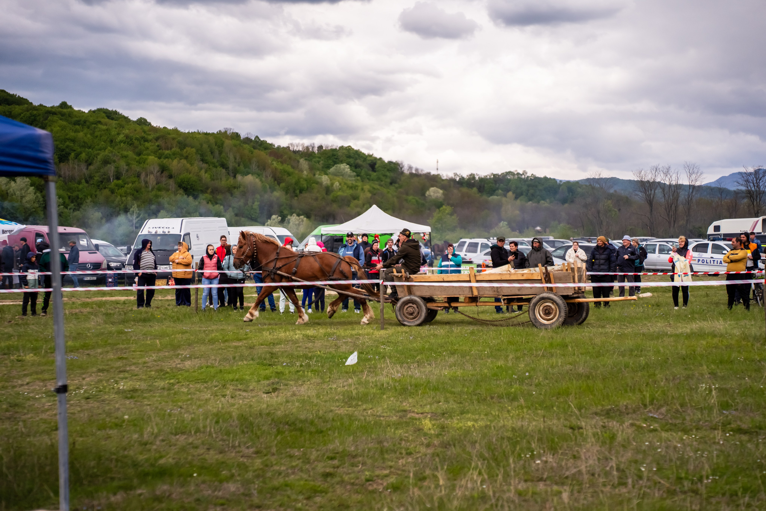 Concurs Ecvestru Vărbilău ediția a 4-a. Mihai Alexandra Events