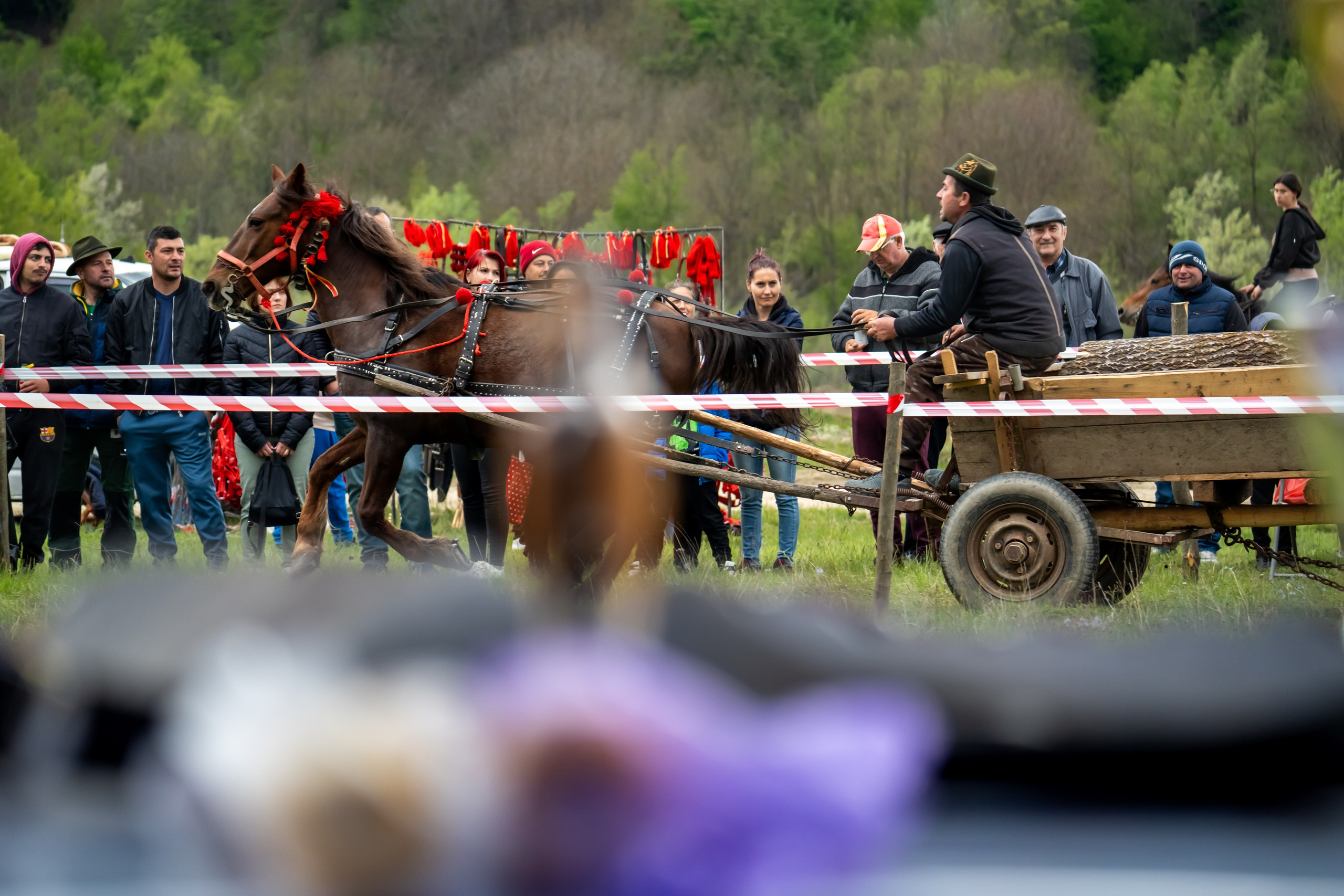 Concurs Ecvestru Vărbilău ediția a 4-a. Mihai Alexandra Events