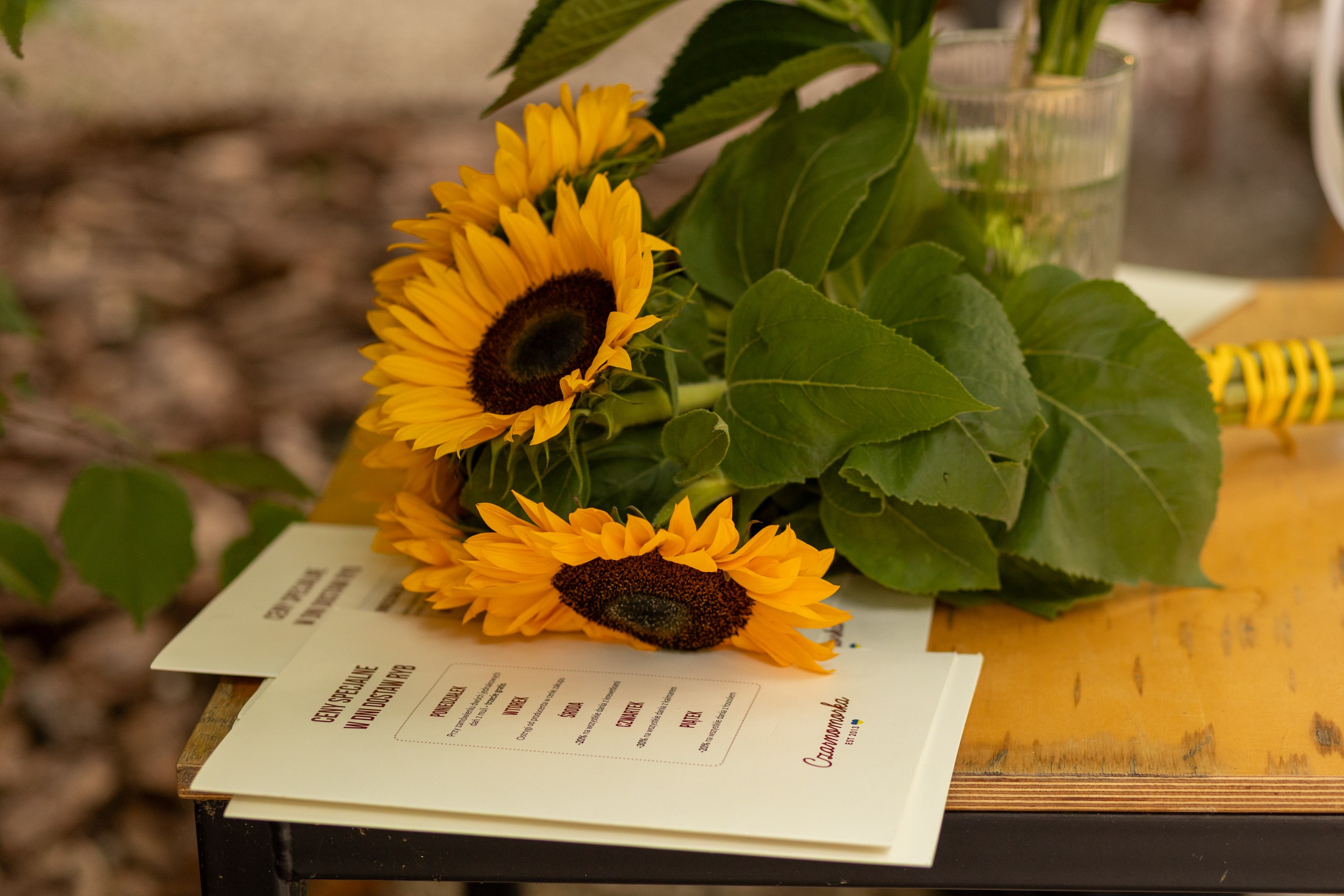 Наталья 04.08.2025. Семейный и детский фотограф в Варшаве Мила Бобровская