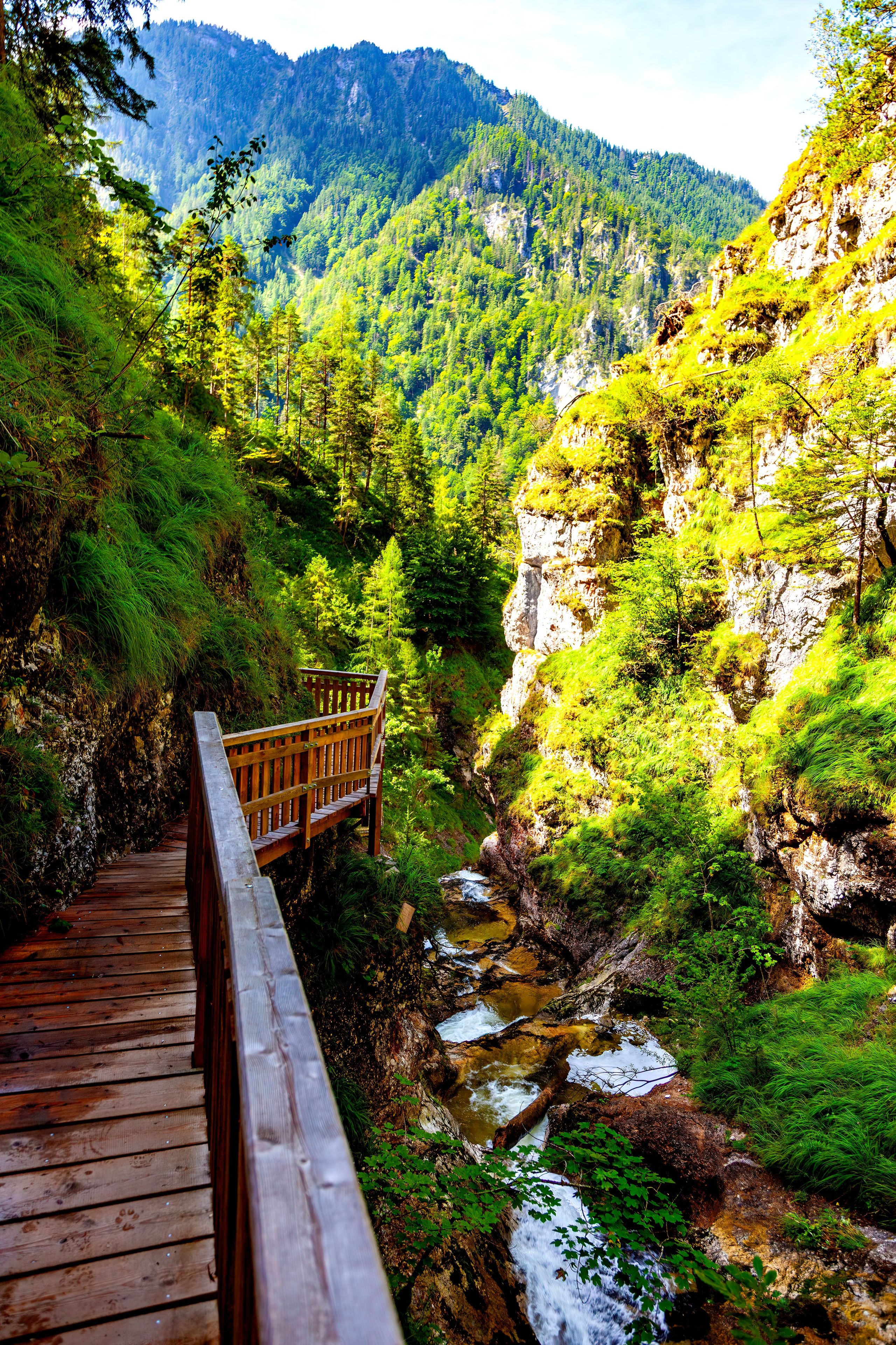 193.Wasserloch Klamm.Palfau.18.8.2025. Путешествия в формате 360......
