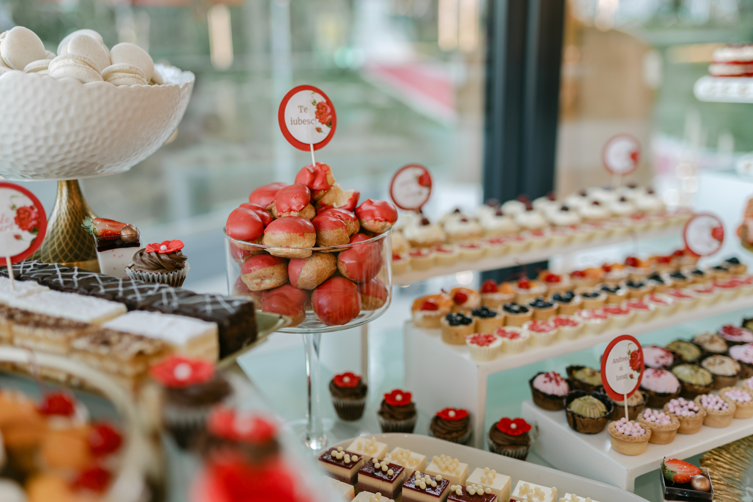 Andreea | Ionut. Gabrielacojocariu.com