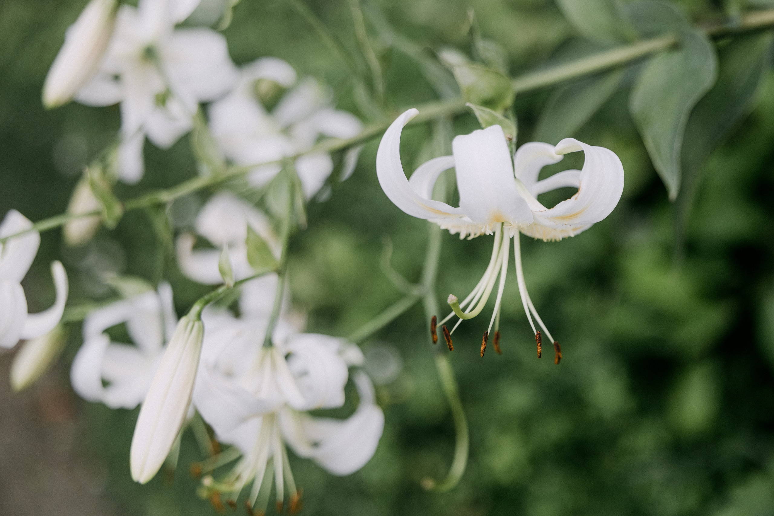 Paris, France. 2025. Timeless Wedding & Events Photography. Based in London, working across Europe