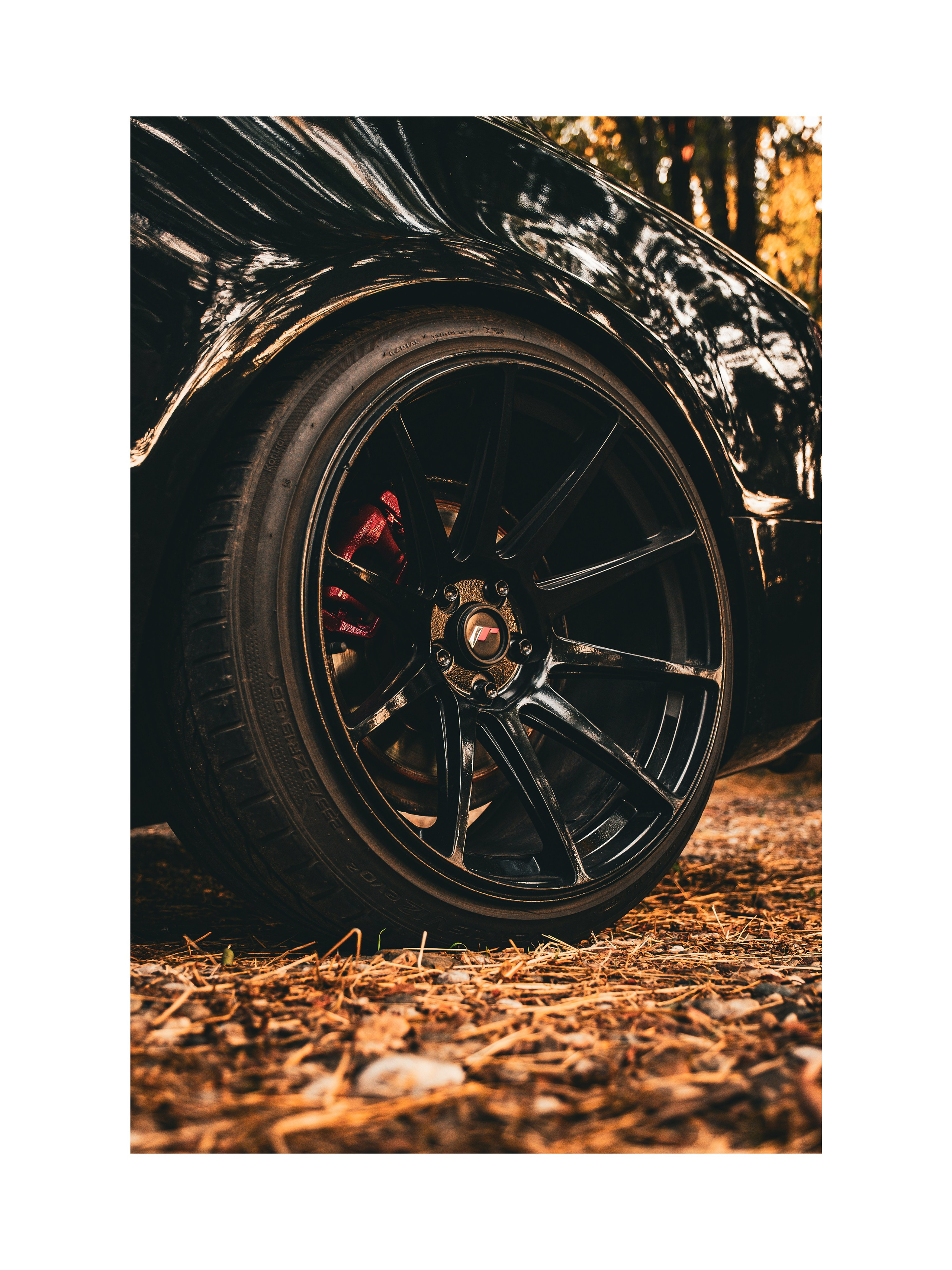 Automotive!. Sima.jpg | Fotograf i videograf iz Zrenjanina i Novog Sada | Venčanja, portreti, događaji i komercijalna fotografija