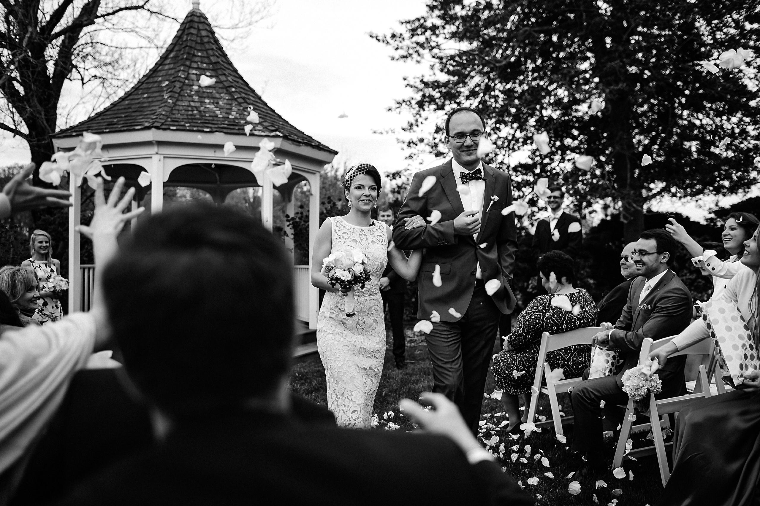 Фотограф в Ирландии Дублин свадьба утро фотки лучший топ свадебный красивая жених невеста роспись поздравления лепестки 