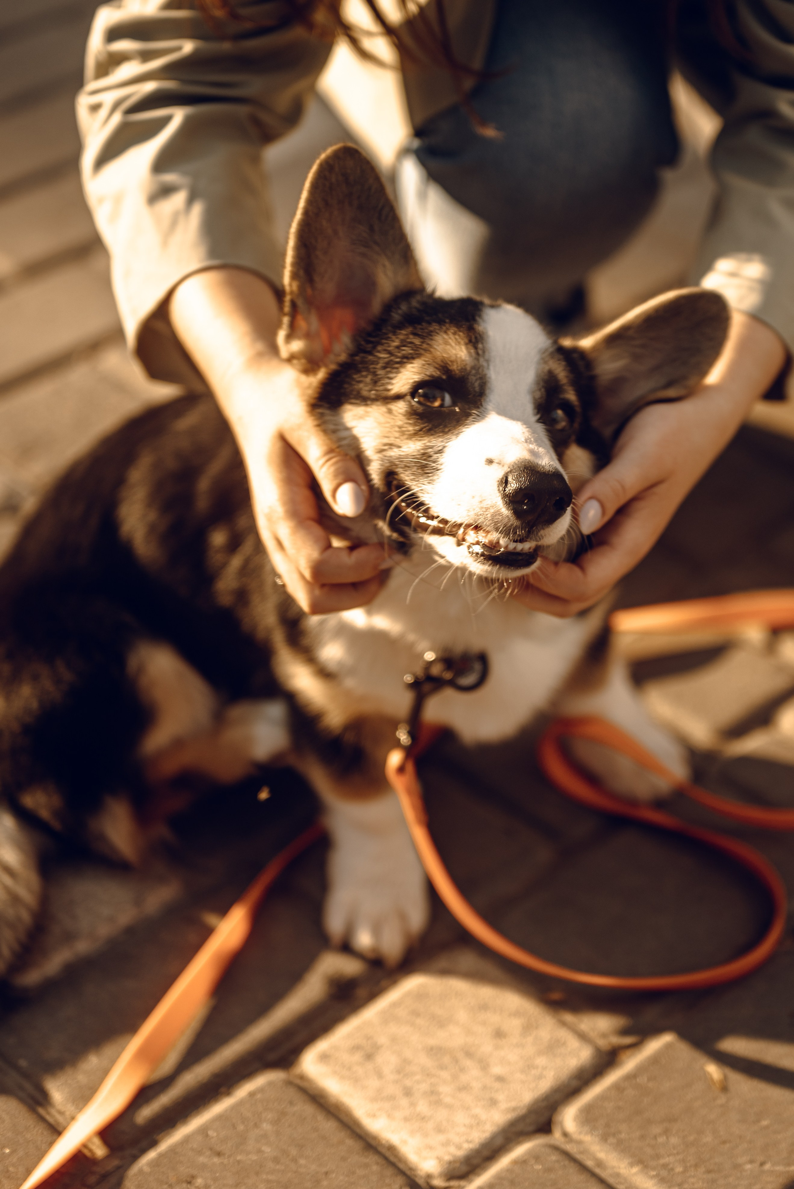 Анна, Назар и Морти. Фотограф Ирина Новикова