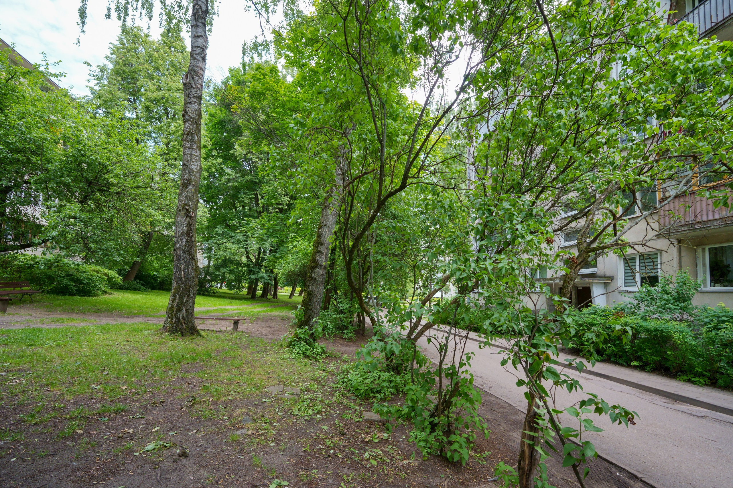 Apkasu g. 21. Elina Sapiega fotografė Vilniuje