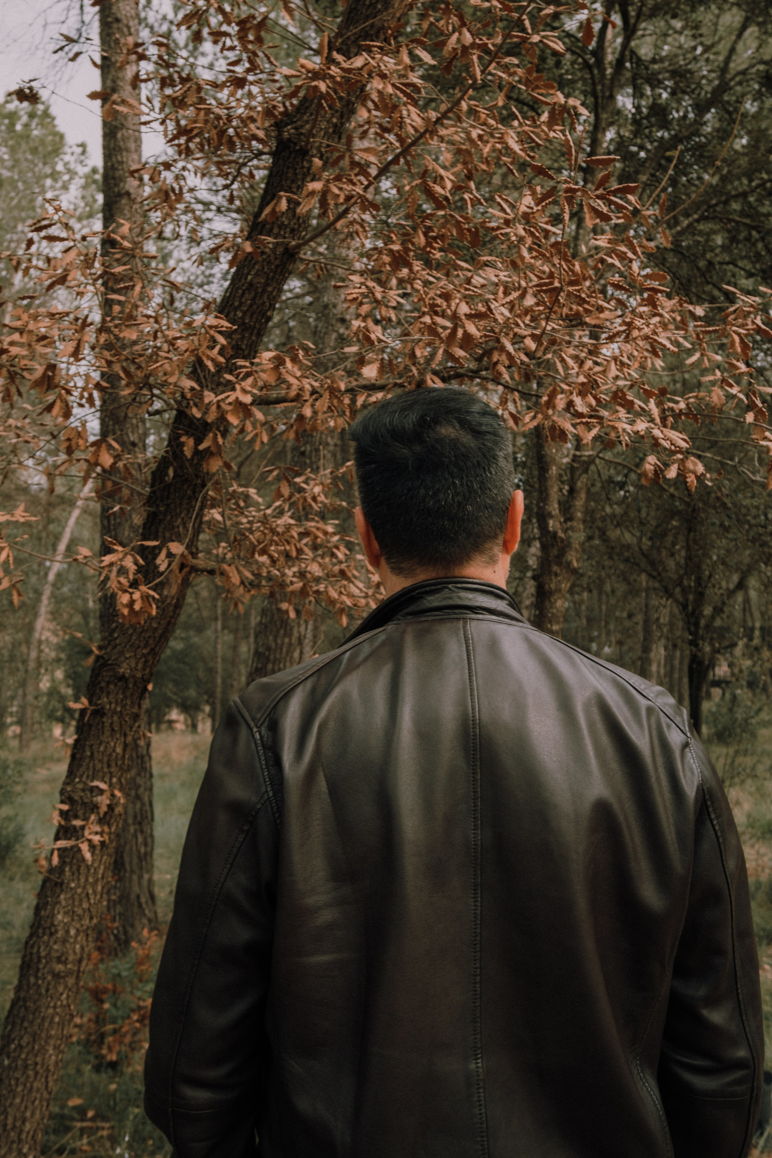 Sesión familiar en el bosque. Fotografía profesional en Calafell - Elena Medvedeva