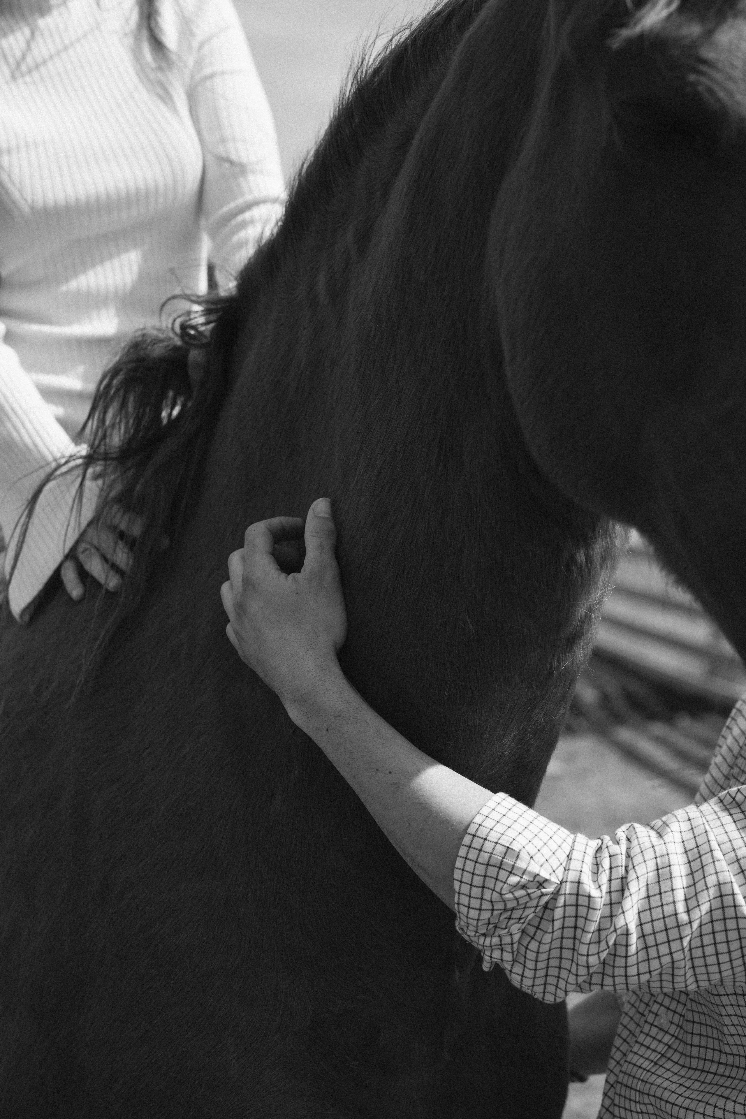 PREBODA EN UNA GANADERÍA DE TOROS. Fotógrafo y Videógrafo de bodas y eventos
