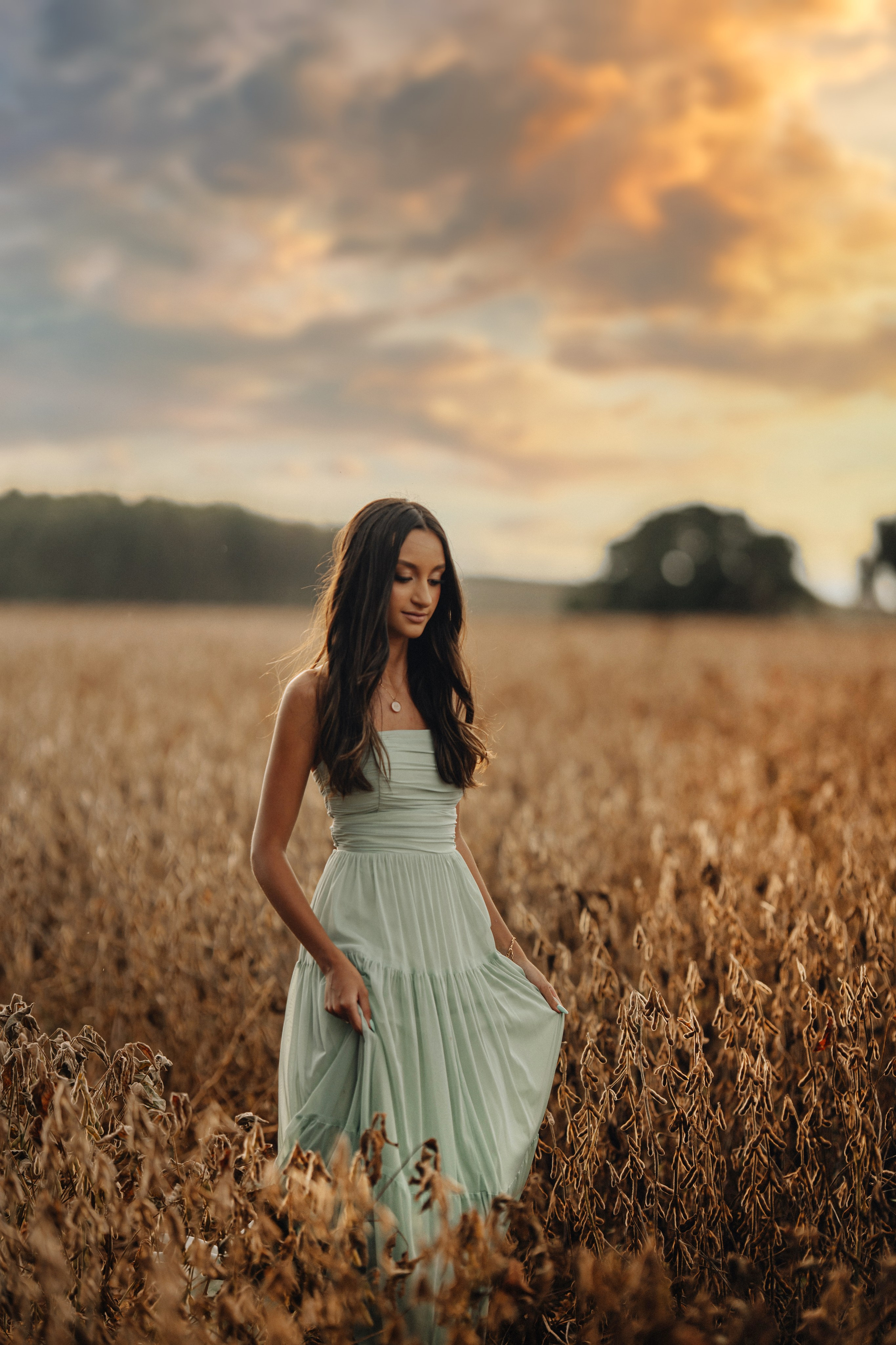 Ga.Agro Pilar do Sul. Fotógrafo de Casamento, grávida, Retrato, Corporativo