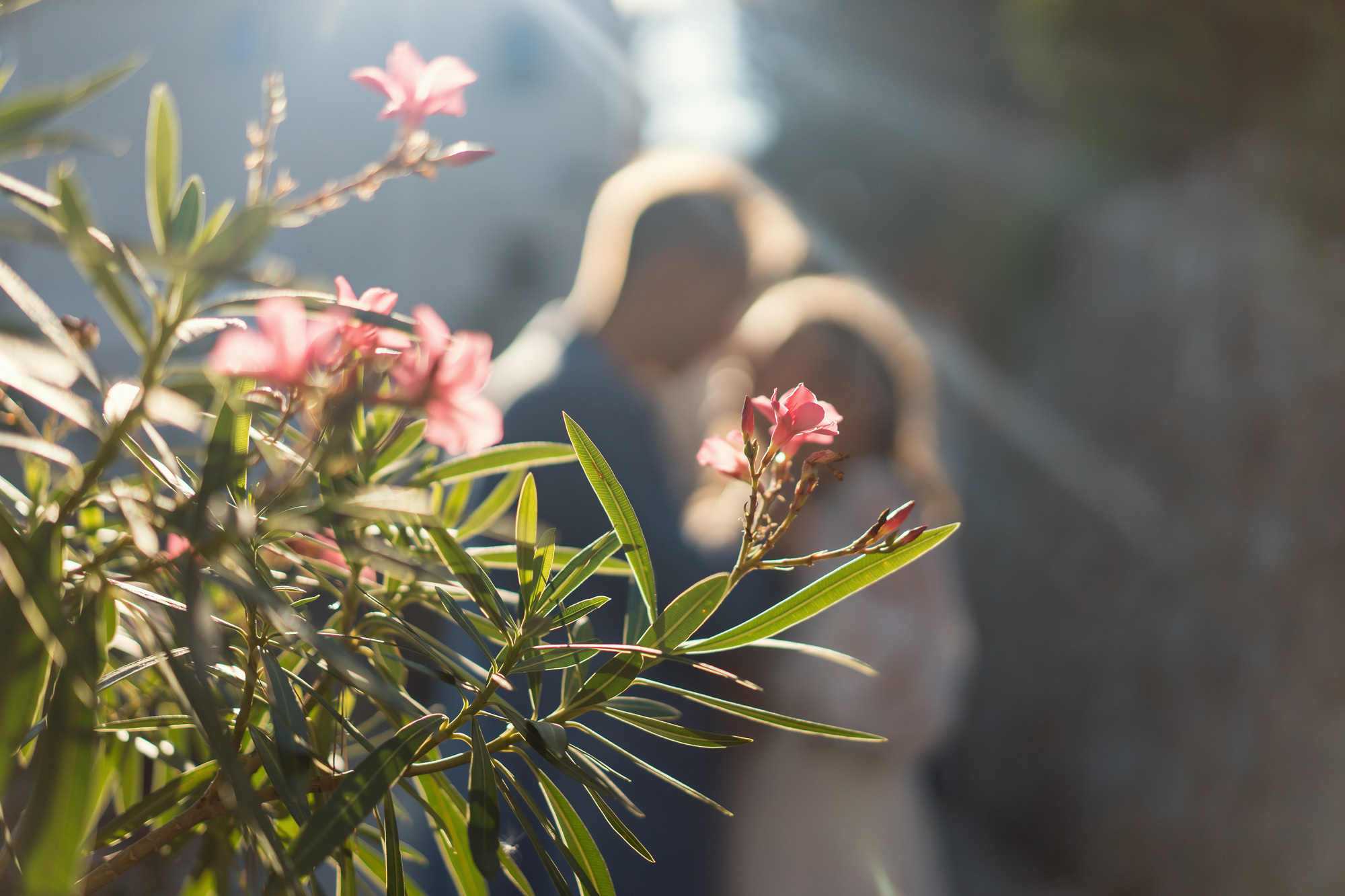 Пикник в Черногории и фотосессия