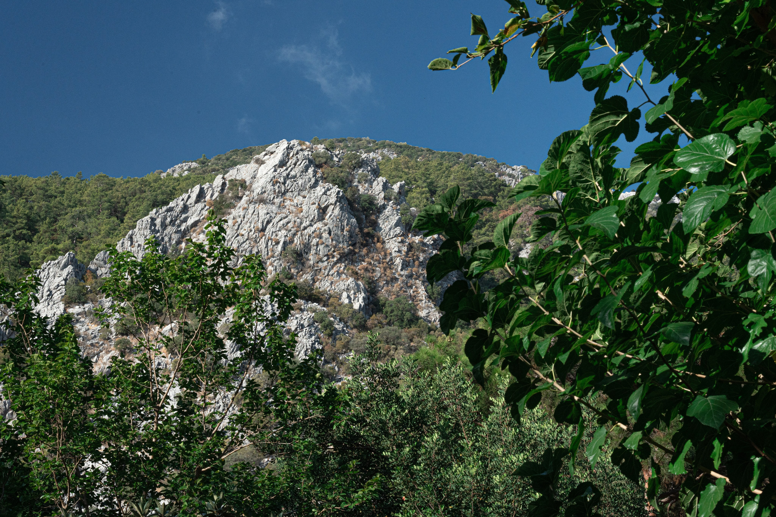 TURKEY & NATURE. UNRATED PHOTO