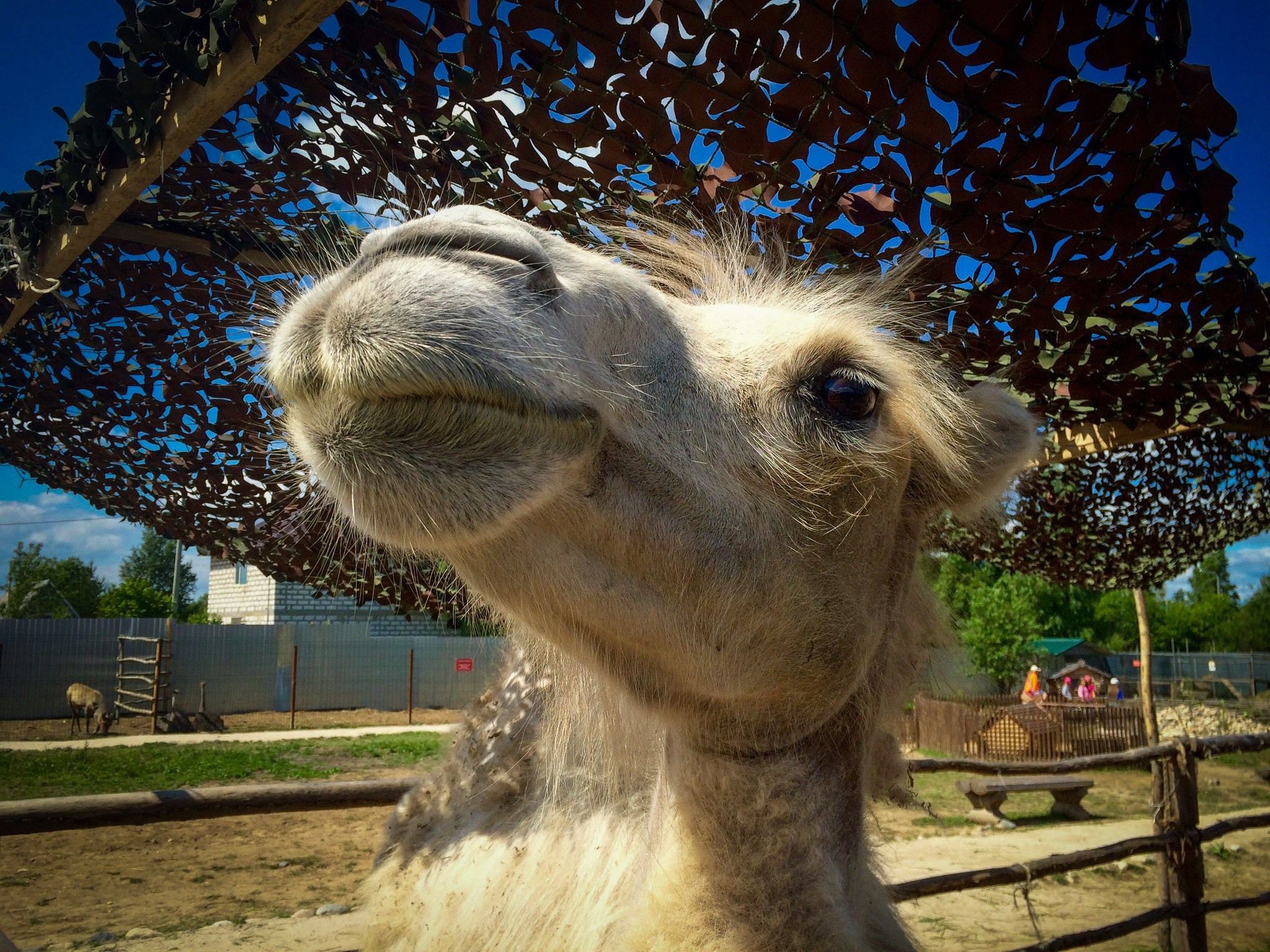 MOBILE PHOTO. UNRATED PHOTO