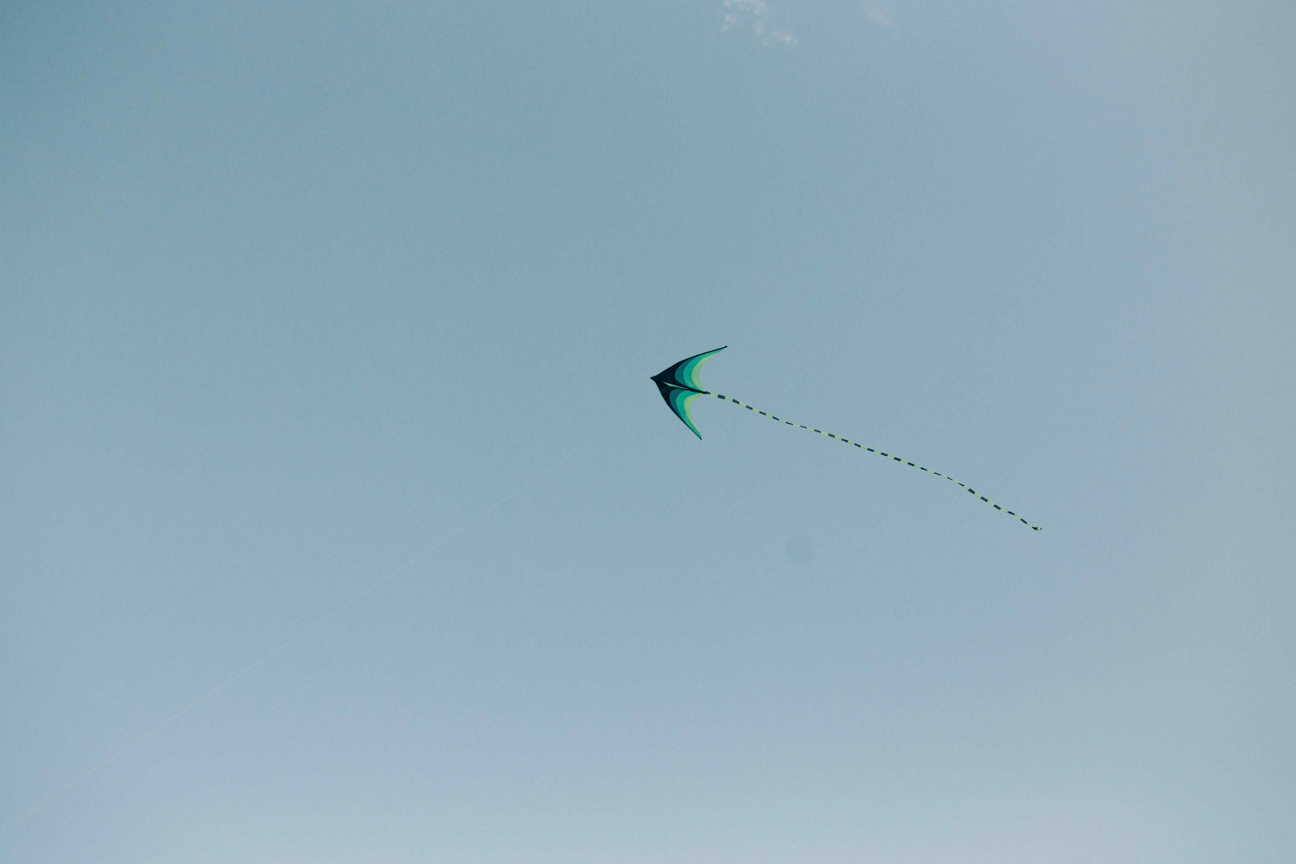 BIG FAMILY. NETANYA. Https://shi-photo.com/