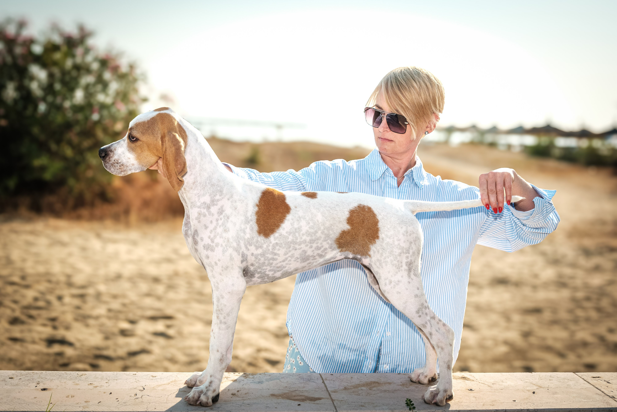 Portfolio fotografia di animali domestici