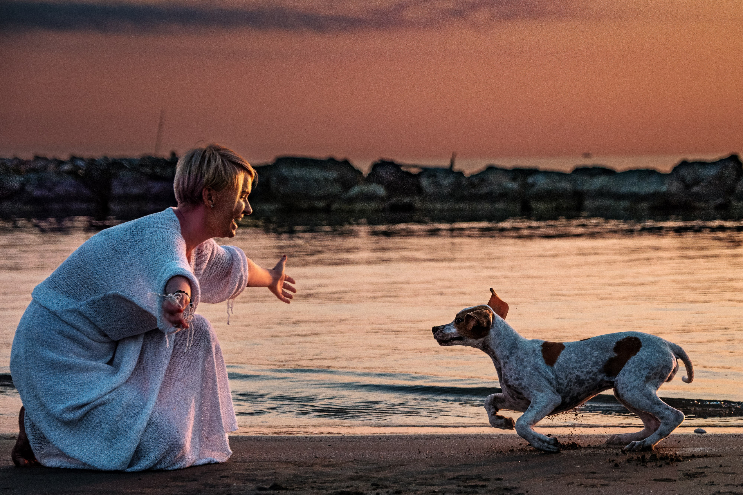 Portfolio fotografia di animali domestici