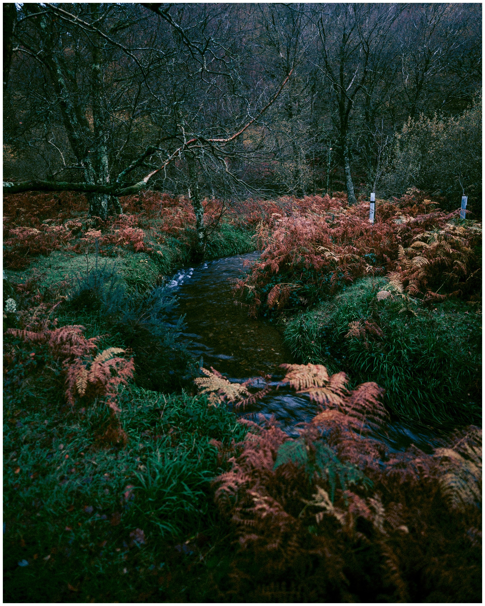 IRELAND. Inna Mendelson — Photographer