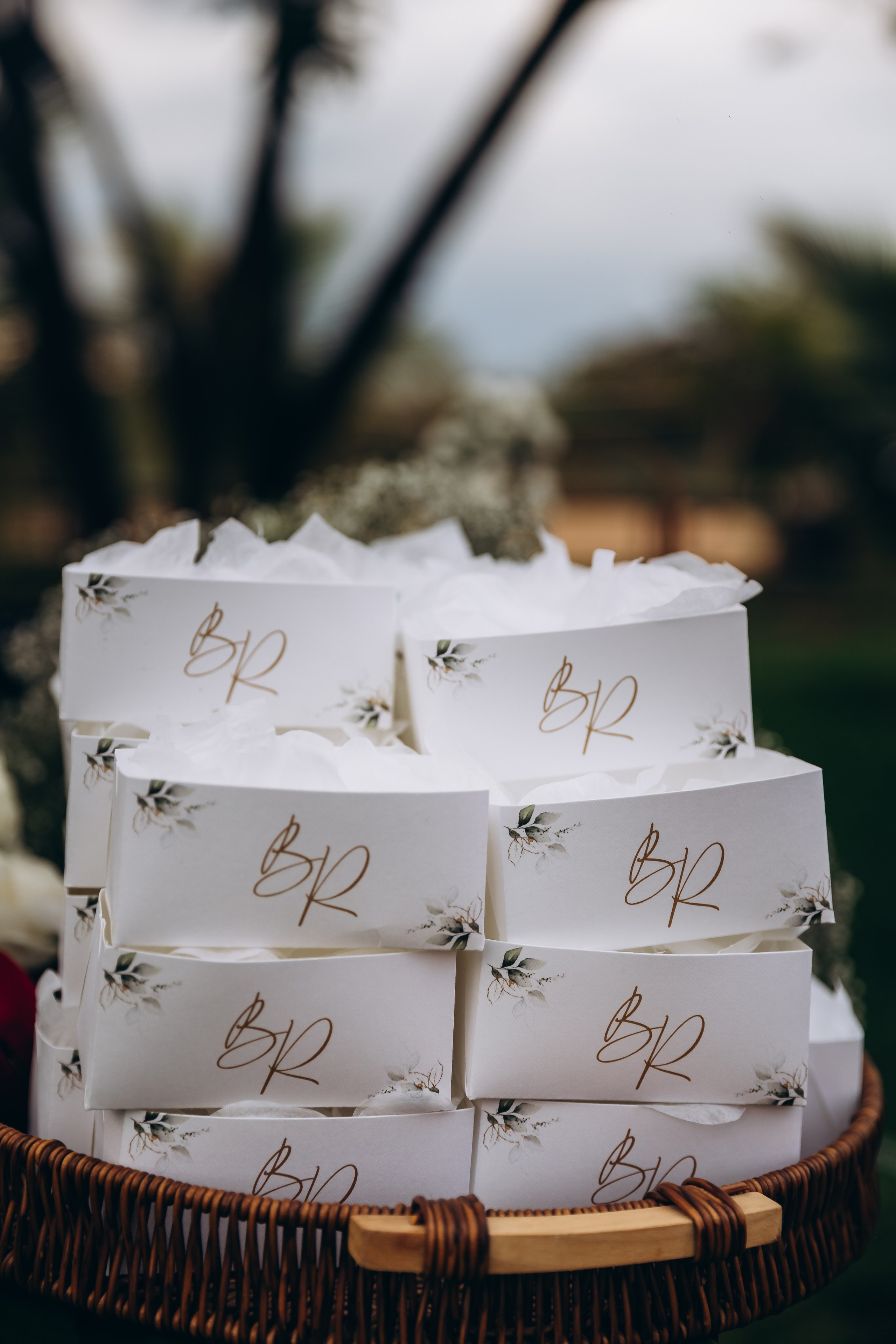 Britany e Rodrigo. Fotografia de casamento e ensaios | Montes Claros/MG