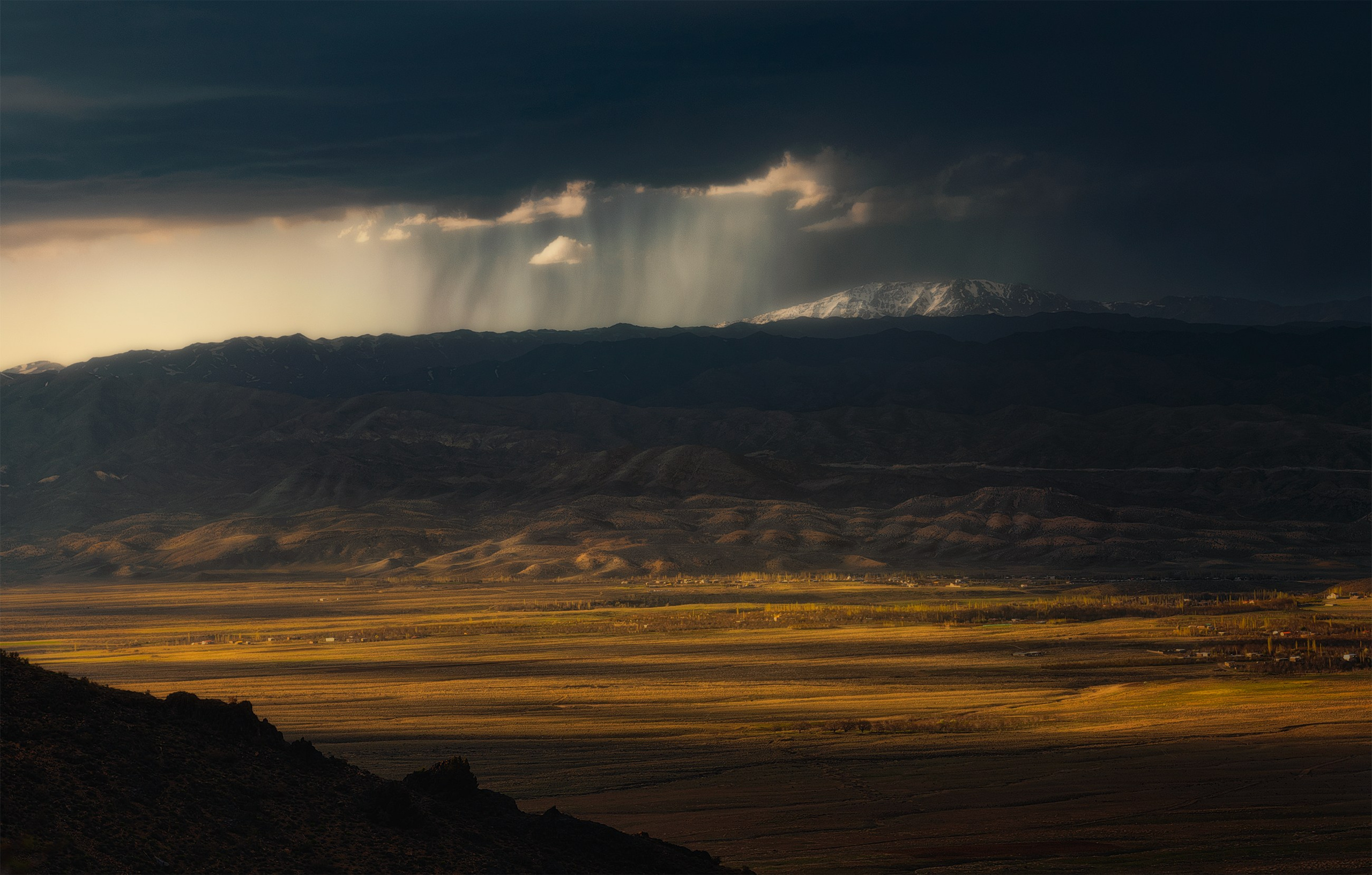 Amirhamzeh Mashayekhi Photographer