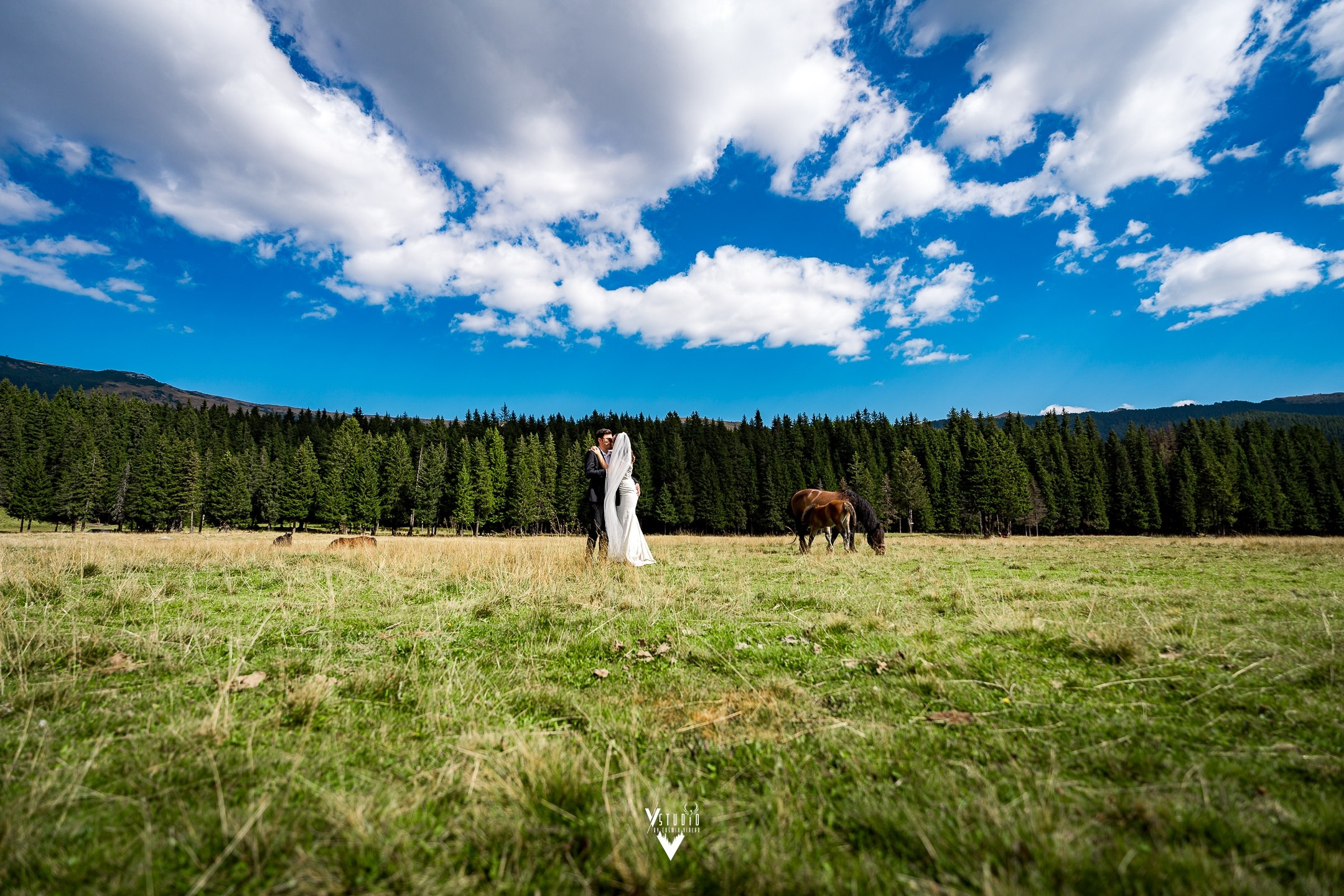 Fotografie de nunta. Cosmin Virlan - Fotograf de eveniment din Târgoviște