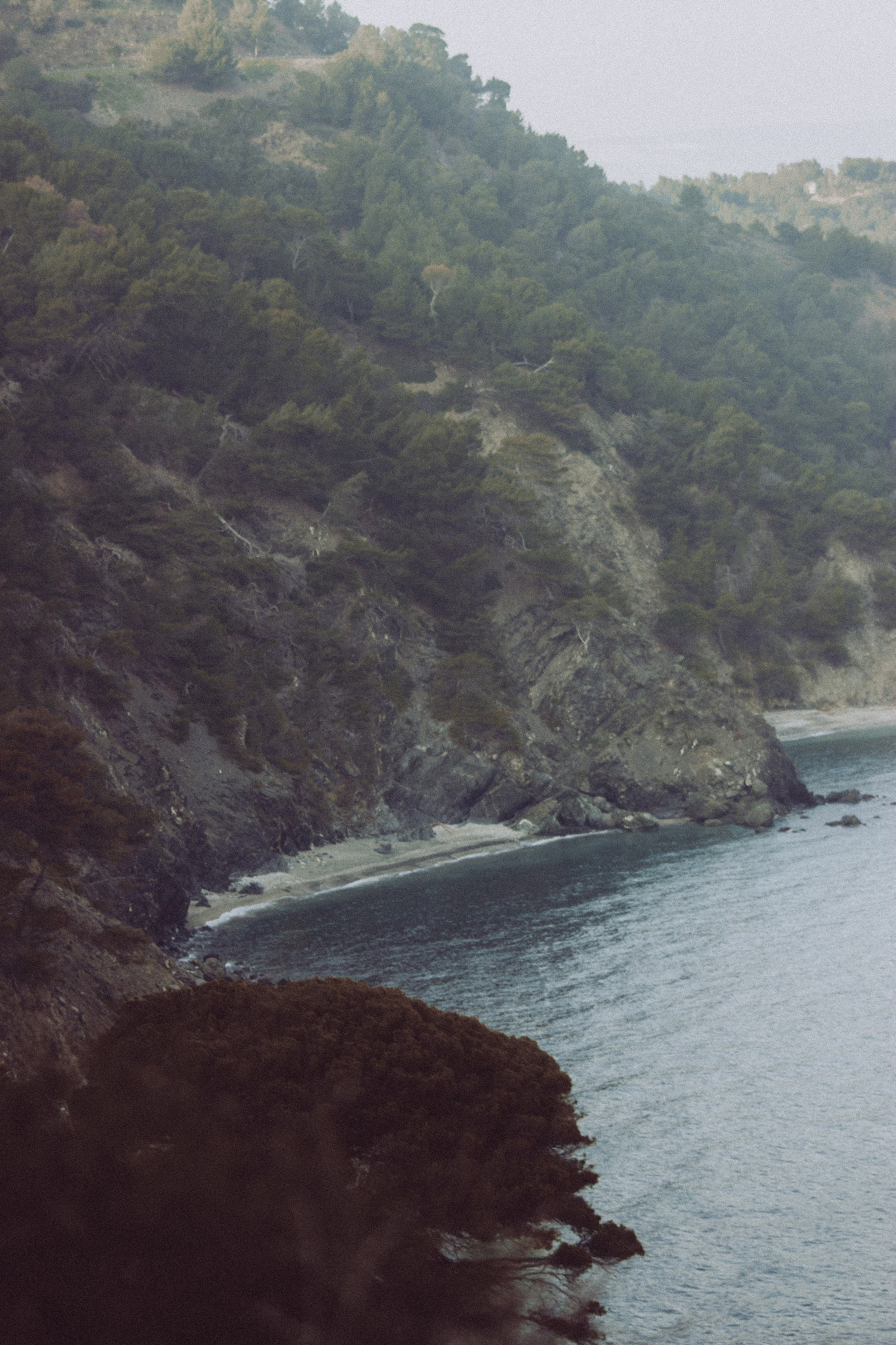 Massif du Cap-Sicié: plages de St.Selon, Jonquet, Boeuf. Photographe à la Seyne sur Mer, Var