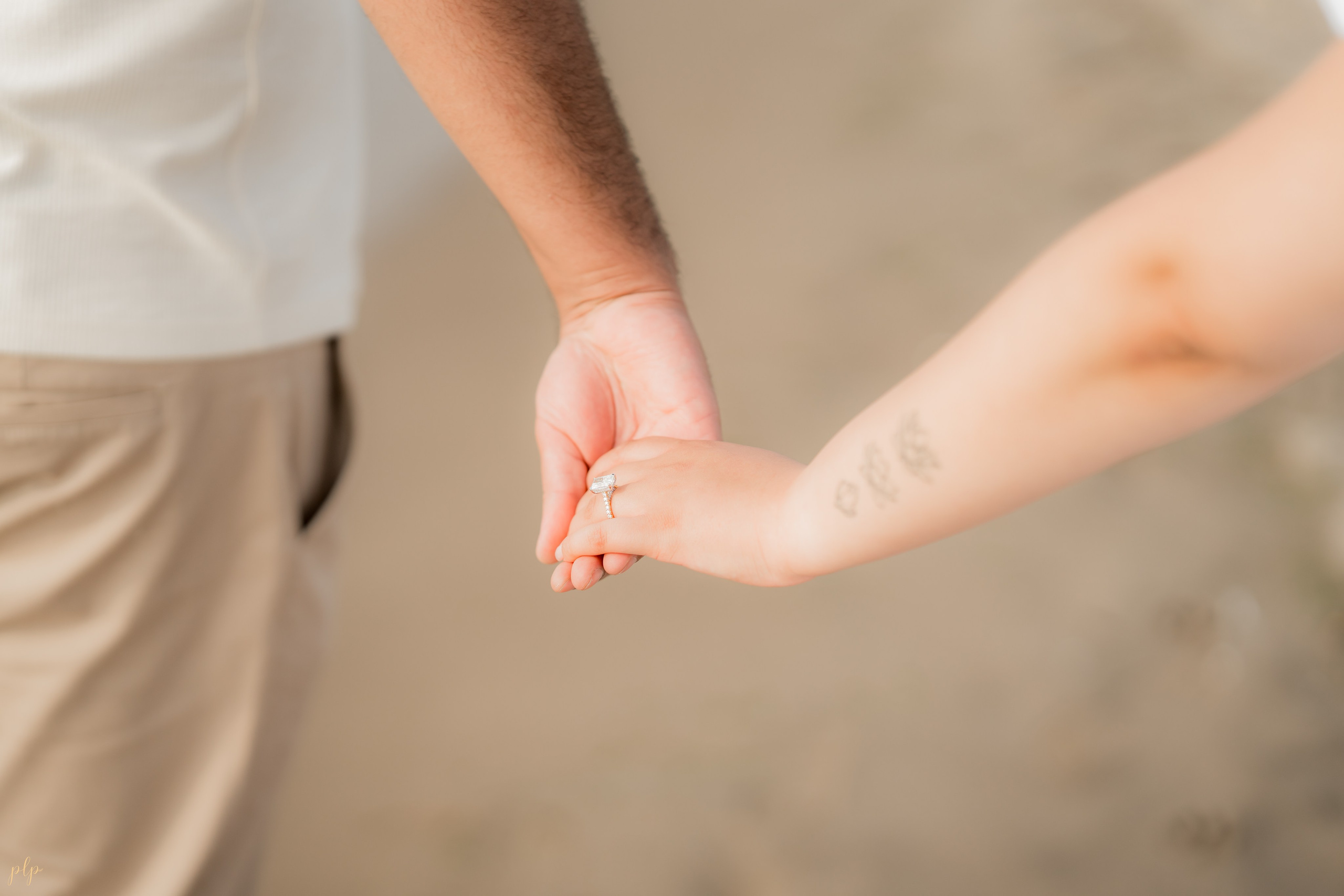 Savreen and Mandeep. Wedding Photographers and Filmmakers