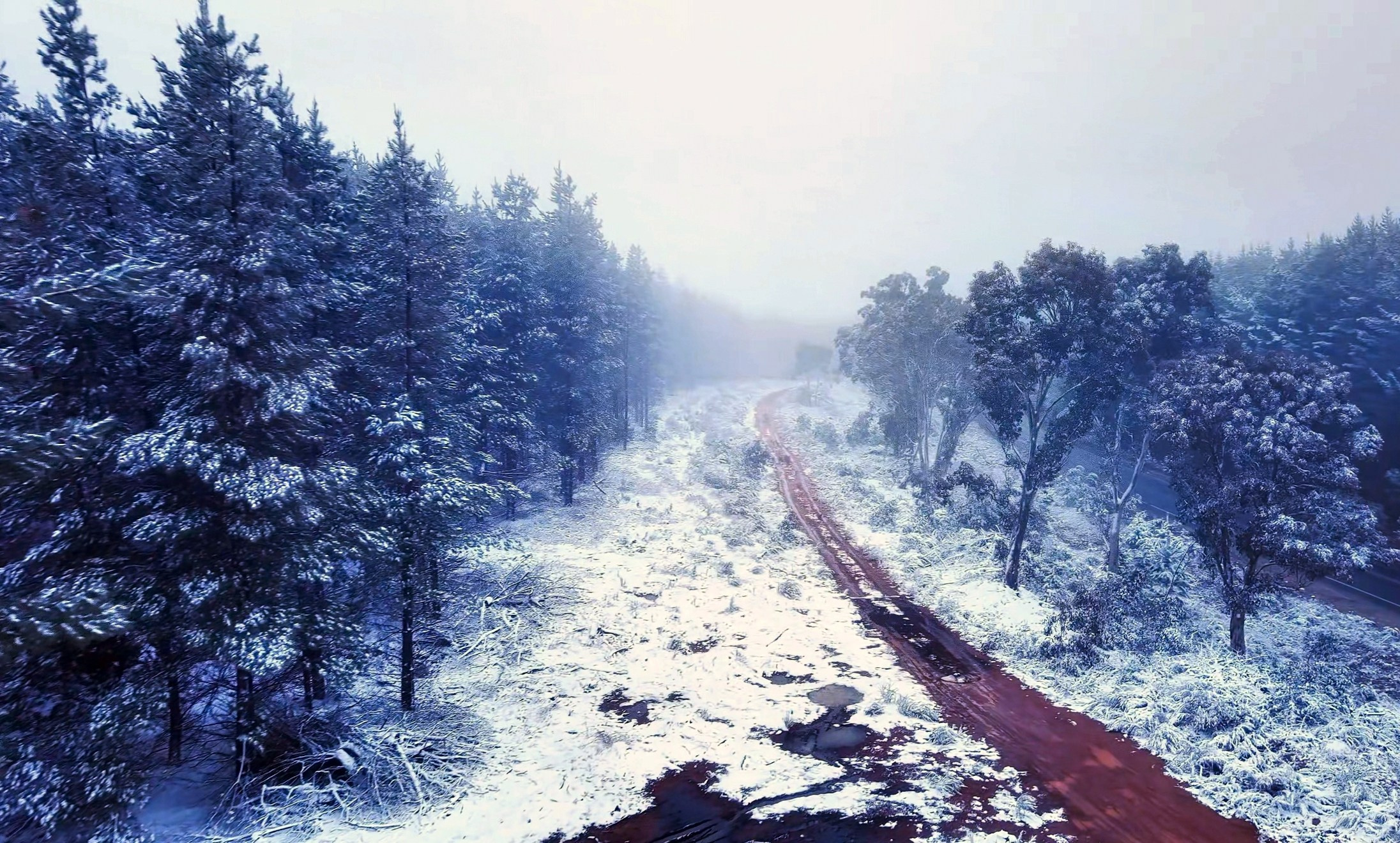 WallMuse. MHCreative is family-oriented photographer based in SYDNEY