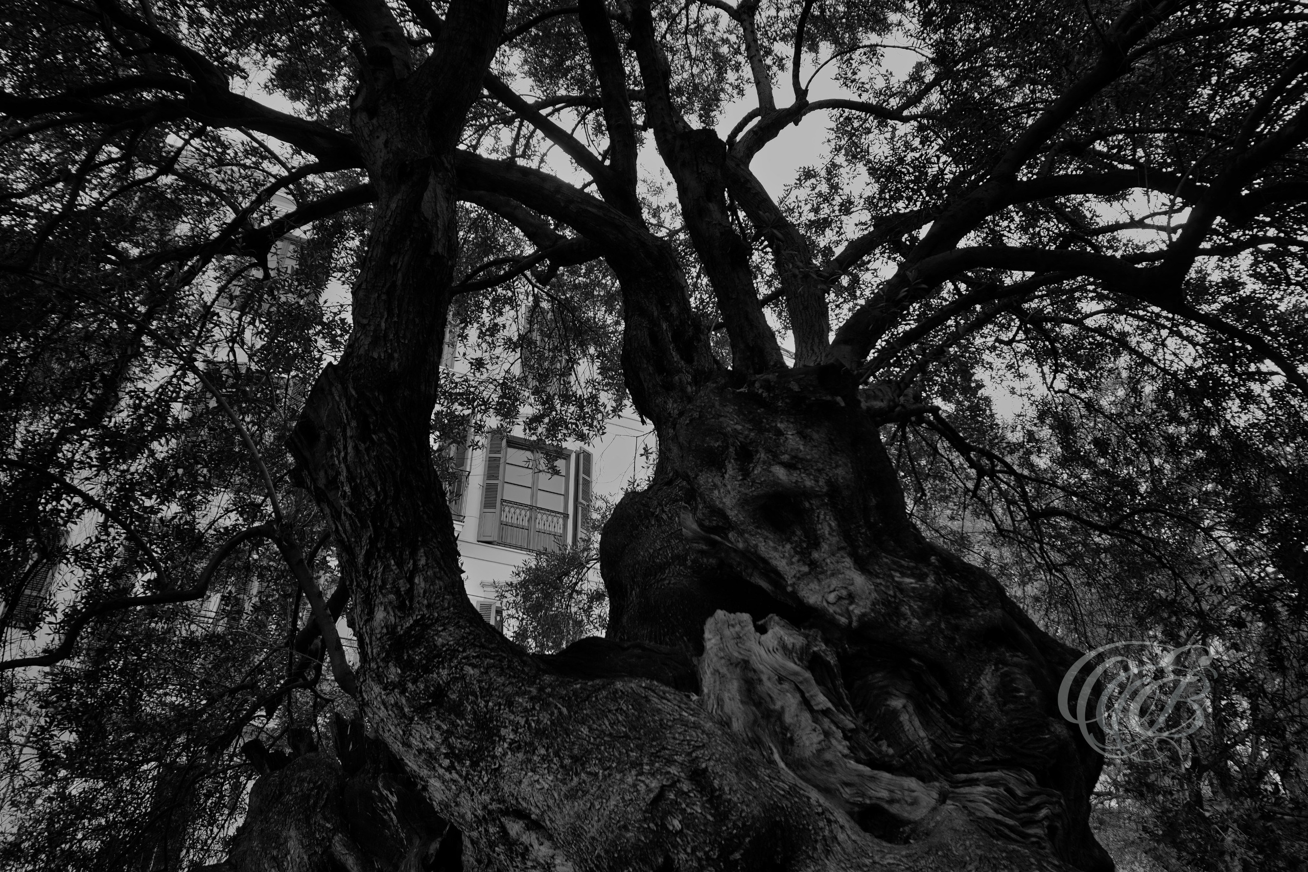Mallorca in Black & White — Fine Art Photography Noir. Eduardo Bartoli Photography