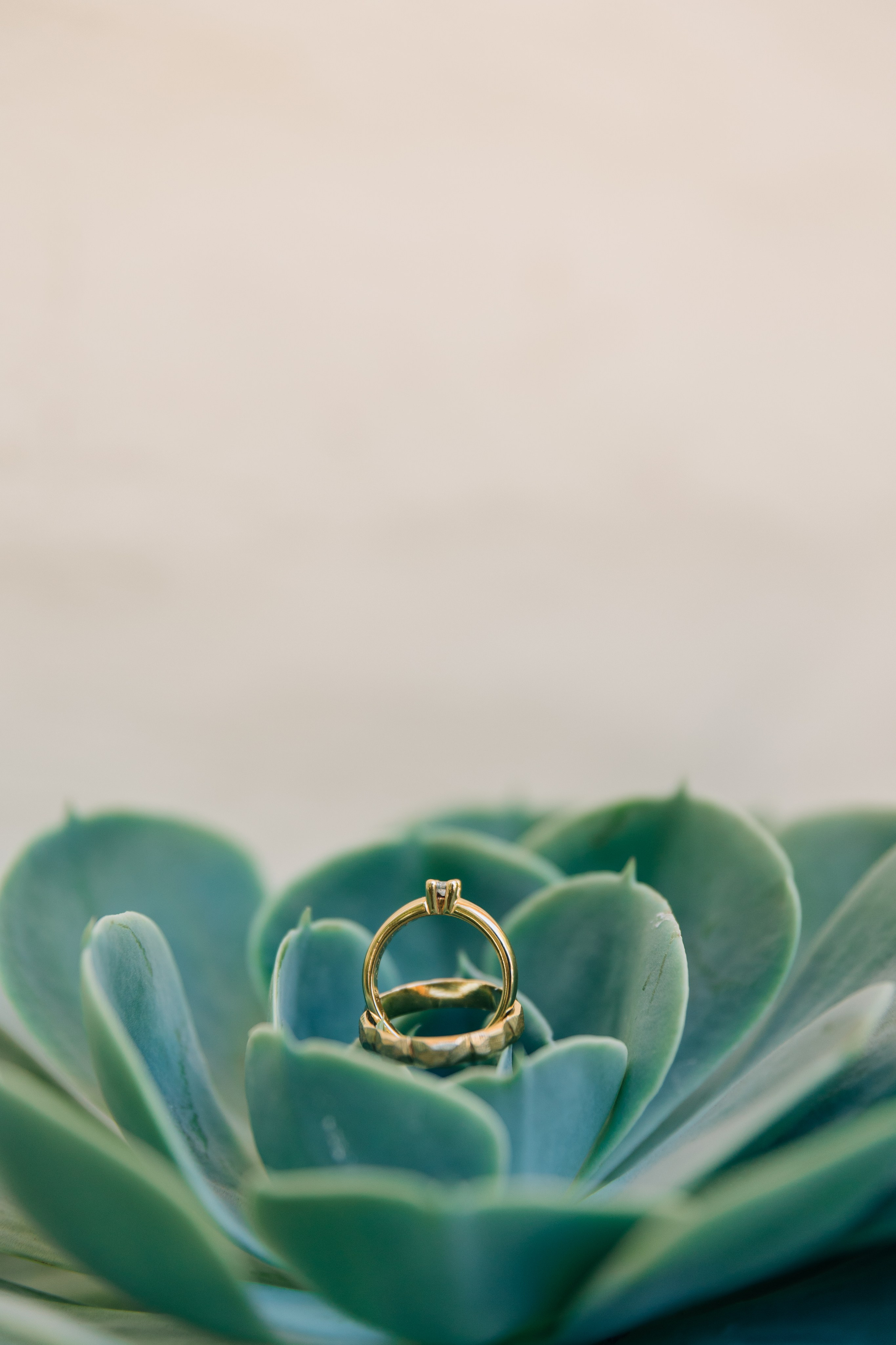 Claudia & José. Fotógrafa familiar Santiago y Chile Anna Almazova