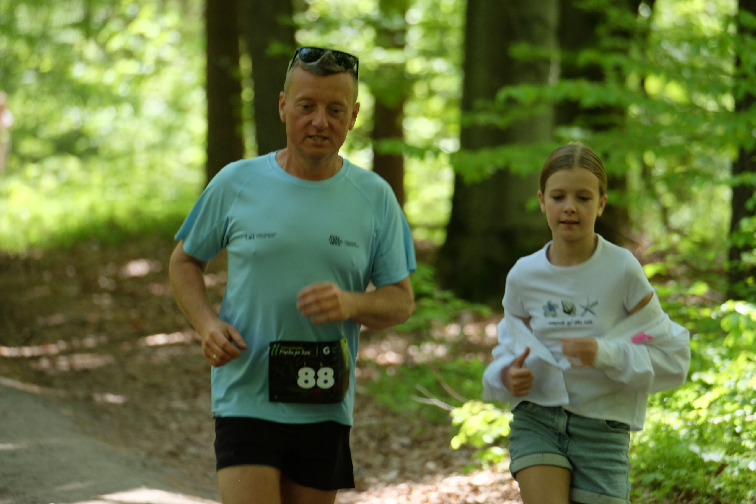 Aleksandryjska Piątka po lesie. Main