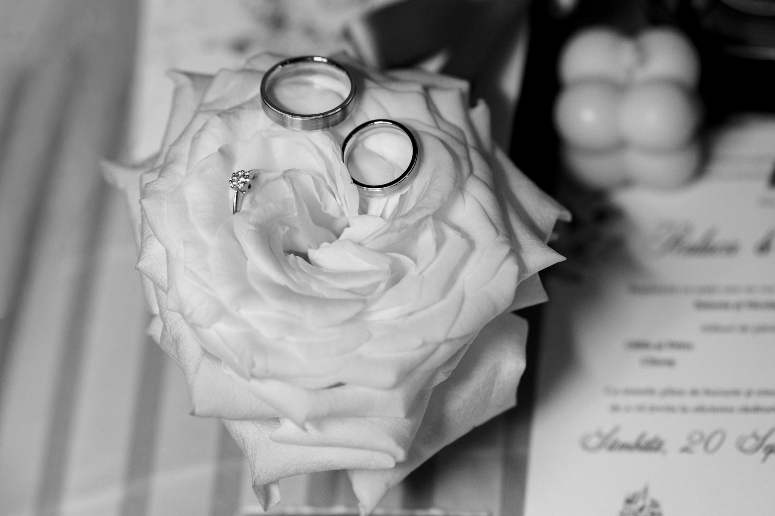 Raluca + Mihai | Wedding Select. Alexandra Hanu Photographer