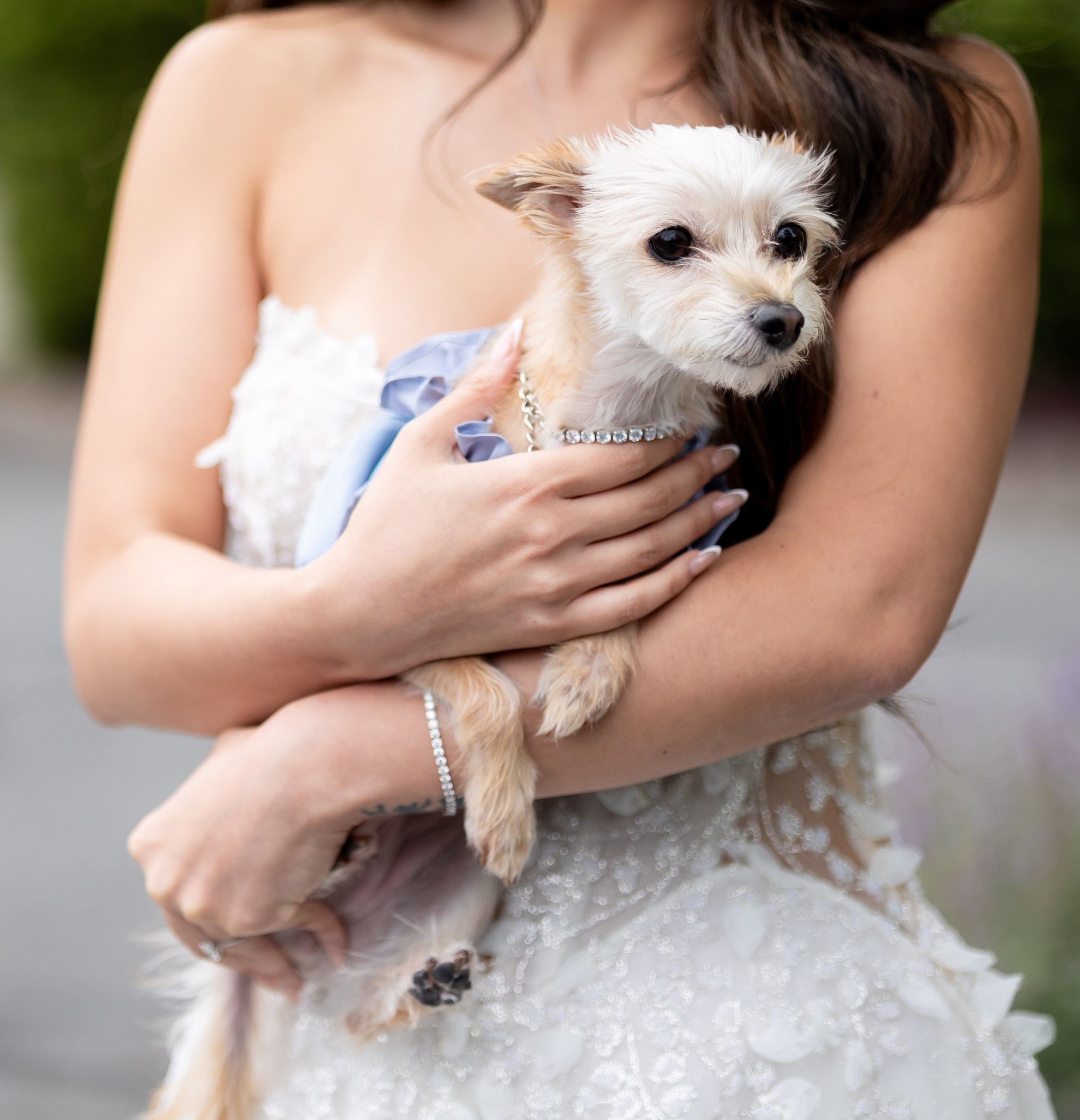 Anna & Gary at The Palace at Somerset Park, NJ. Wedding Photo & Video