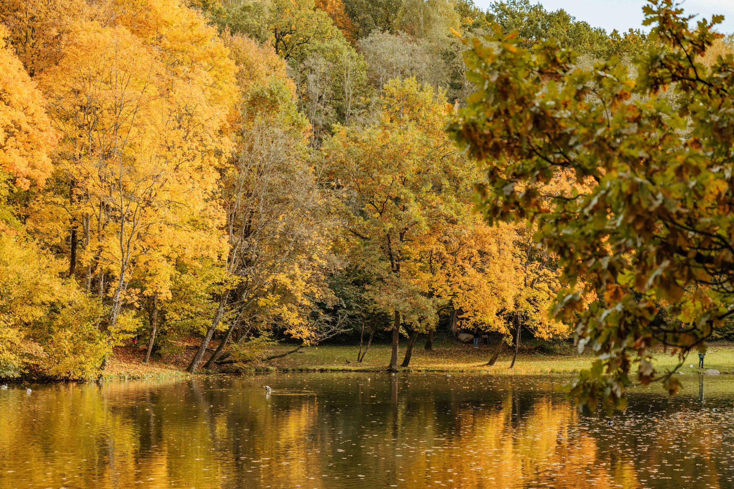 Best Autumn Photoshoot Locations in Vilnius: Top Spots to Capture the Fall Colors. Framed by Evelina | Destination Wedding Photographer from Lithuania | Europe
