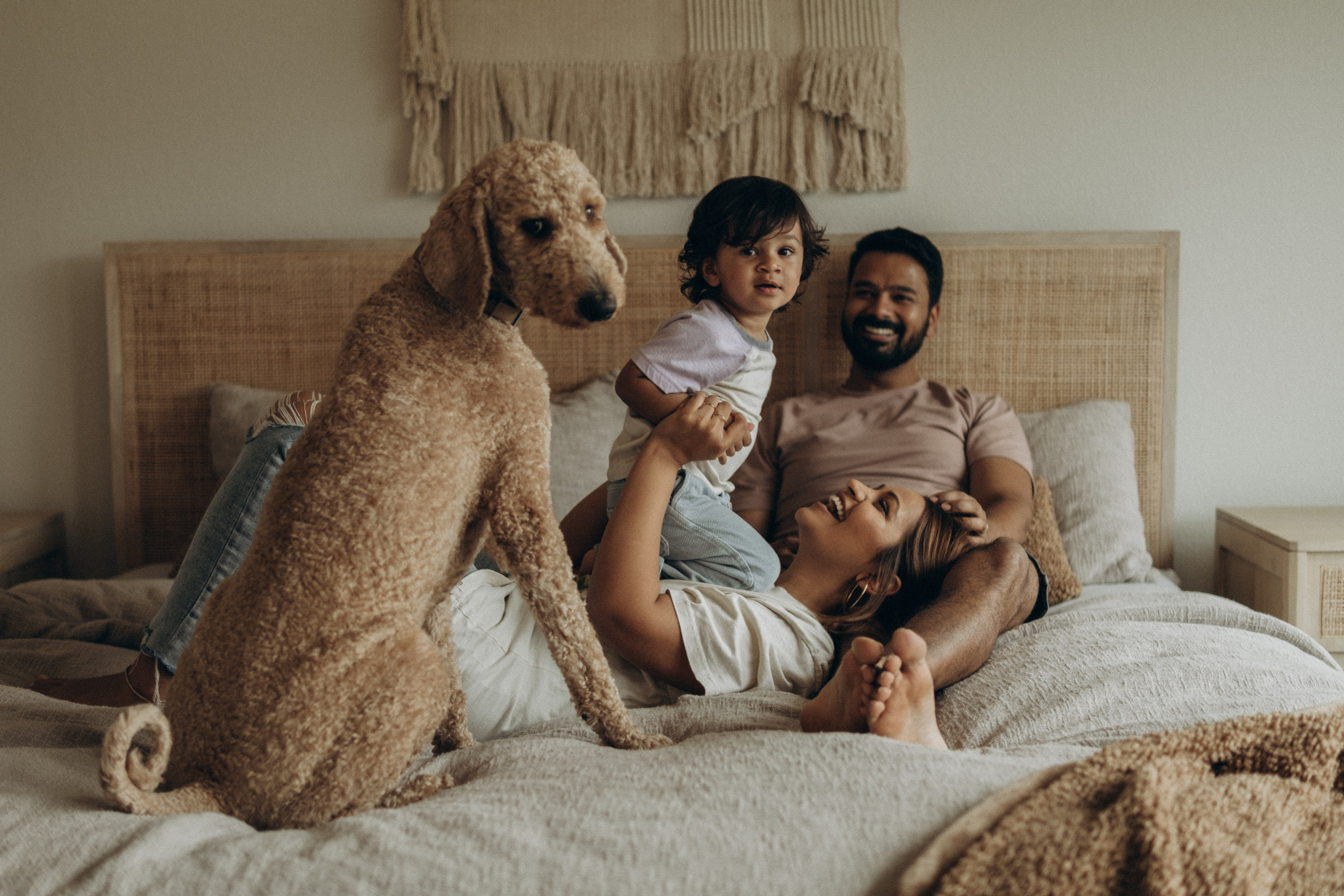 Home Story. Lens Captures Life