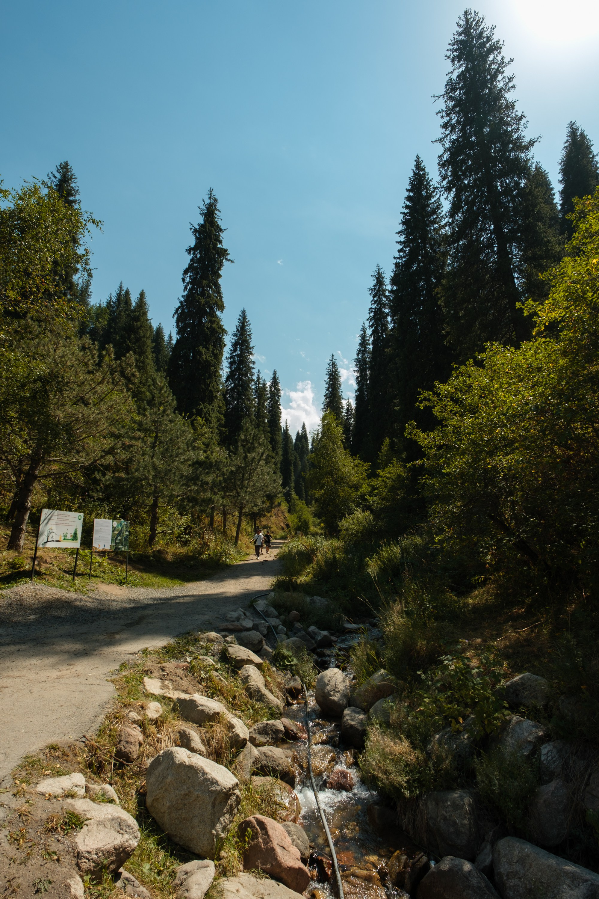 Sigma 12 mm F/1.4 DC DN Contemporary. Фотограф Григорий Кравец