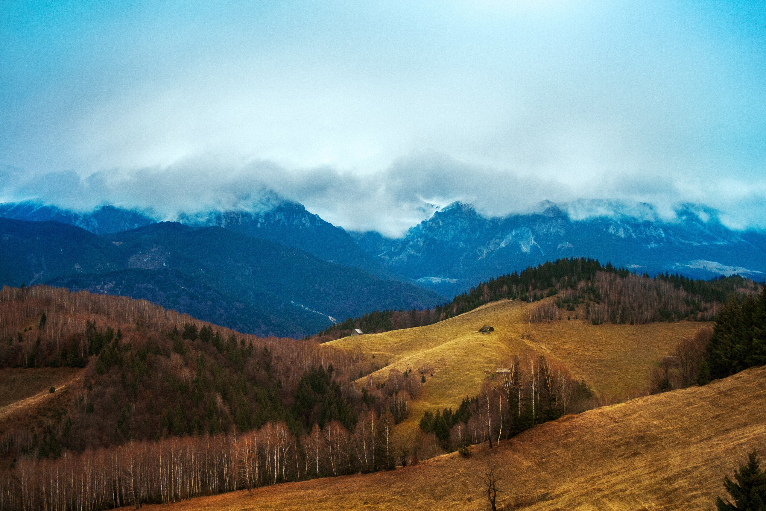Mountain landscapes. Portrait and still life photographer. Designer, photographer, and illustrator