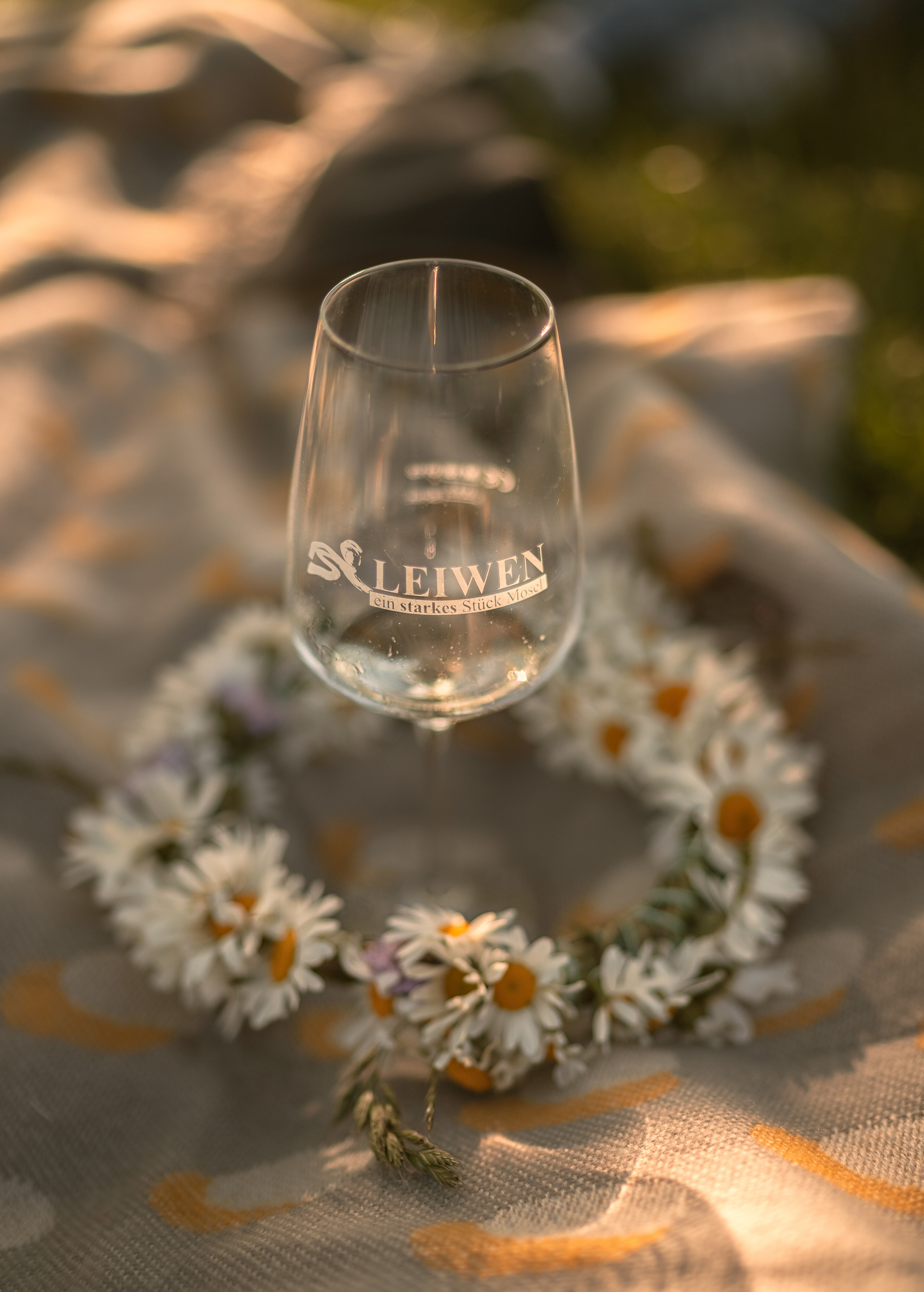 Sommer Picknick. Familien, Lifestyle und Portrait Fotografin in Trier, Luxembourg