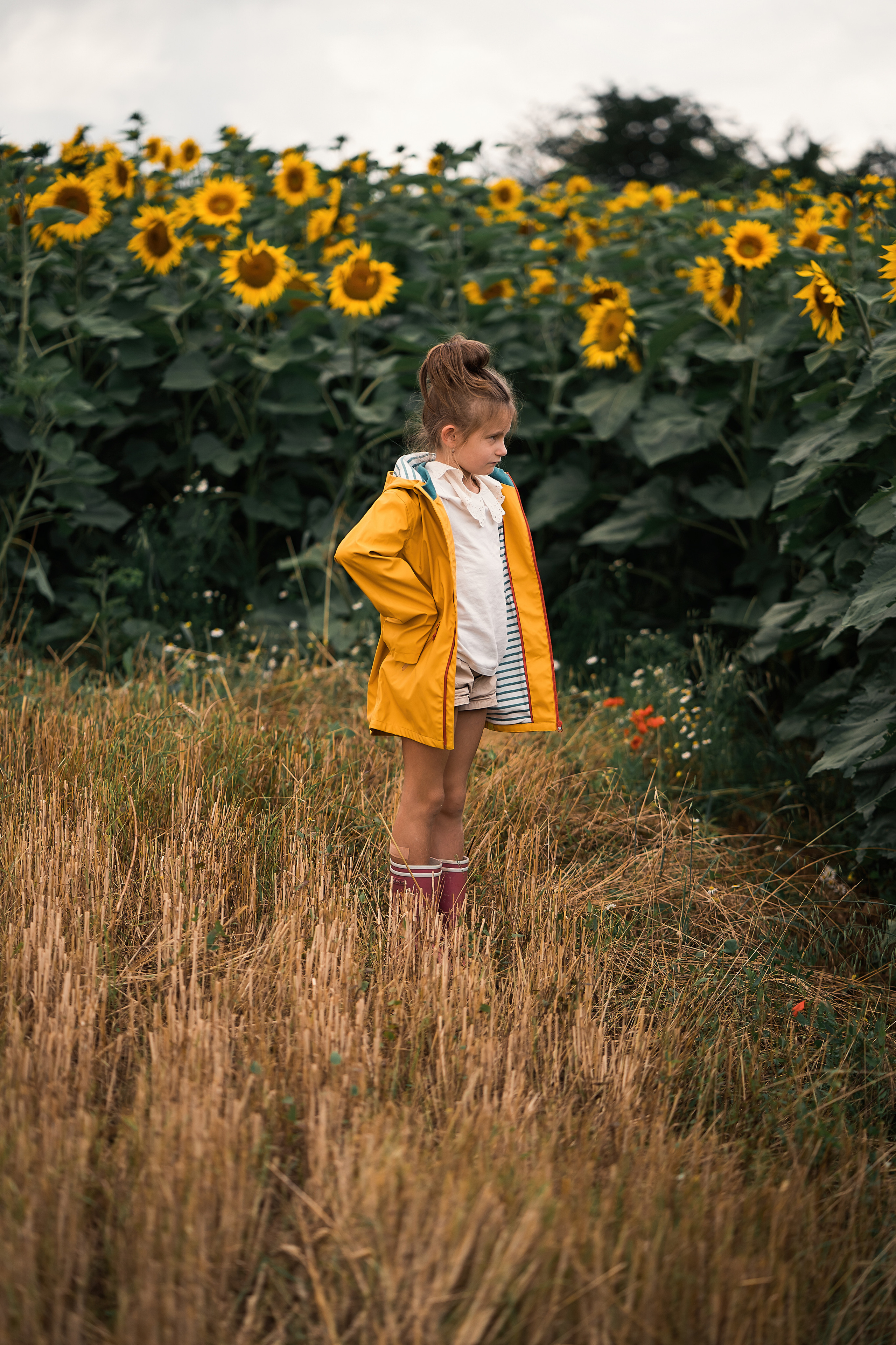 Sonnenblumen. Familien, Lifestyle und Portrait Fotografin in Trier, Luxembourg