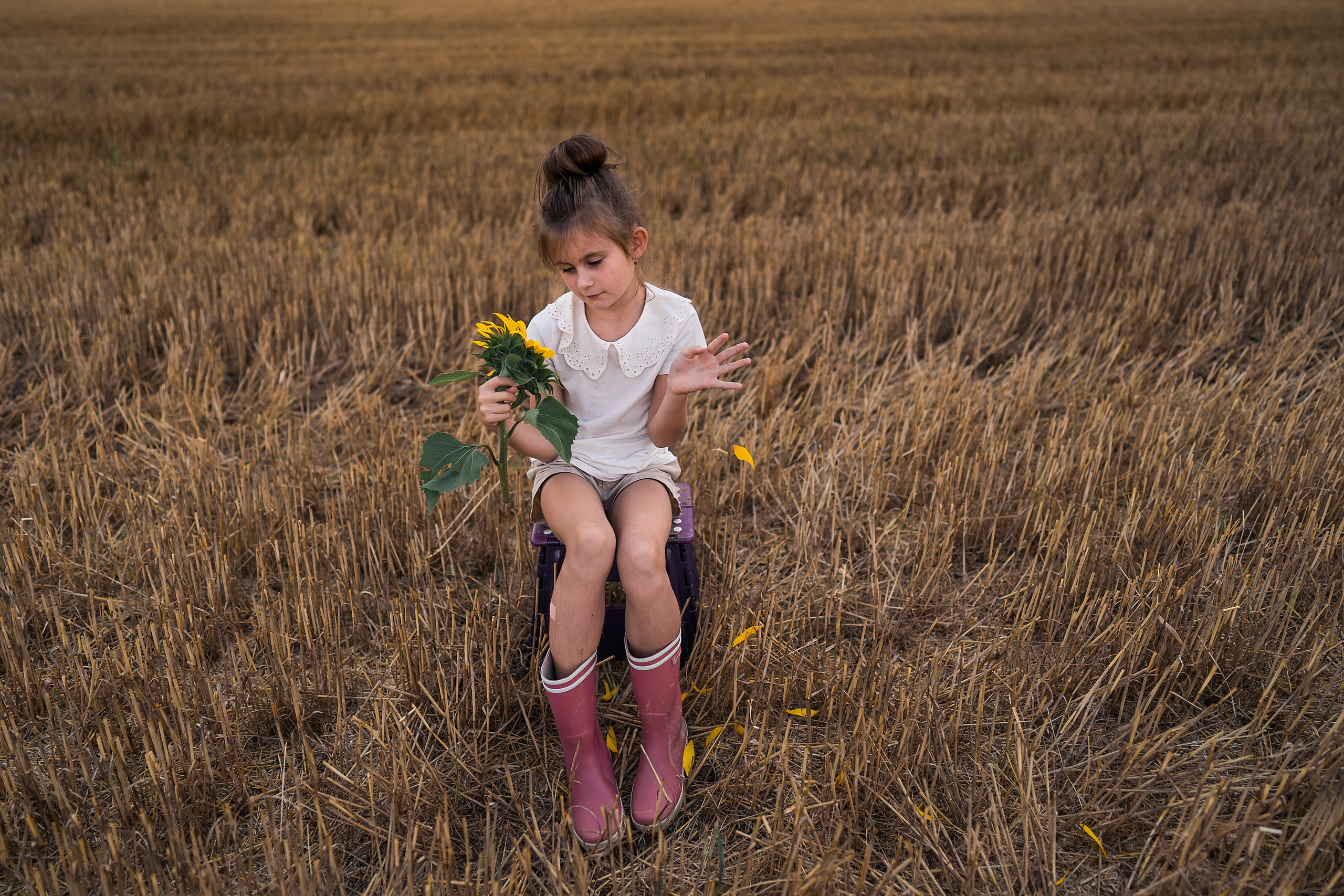 Sonnenblumen. Familien, Lifestyle und Portrait Fotografin in Trier, Luxembourg