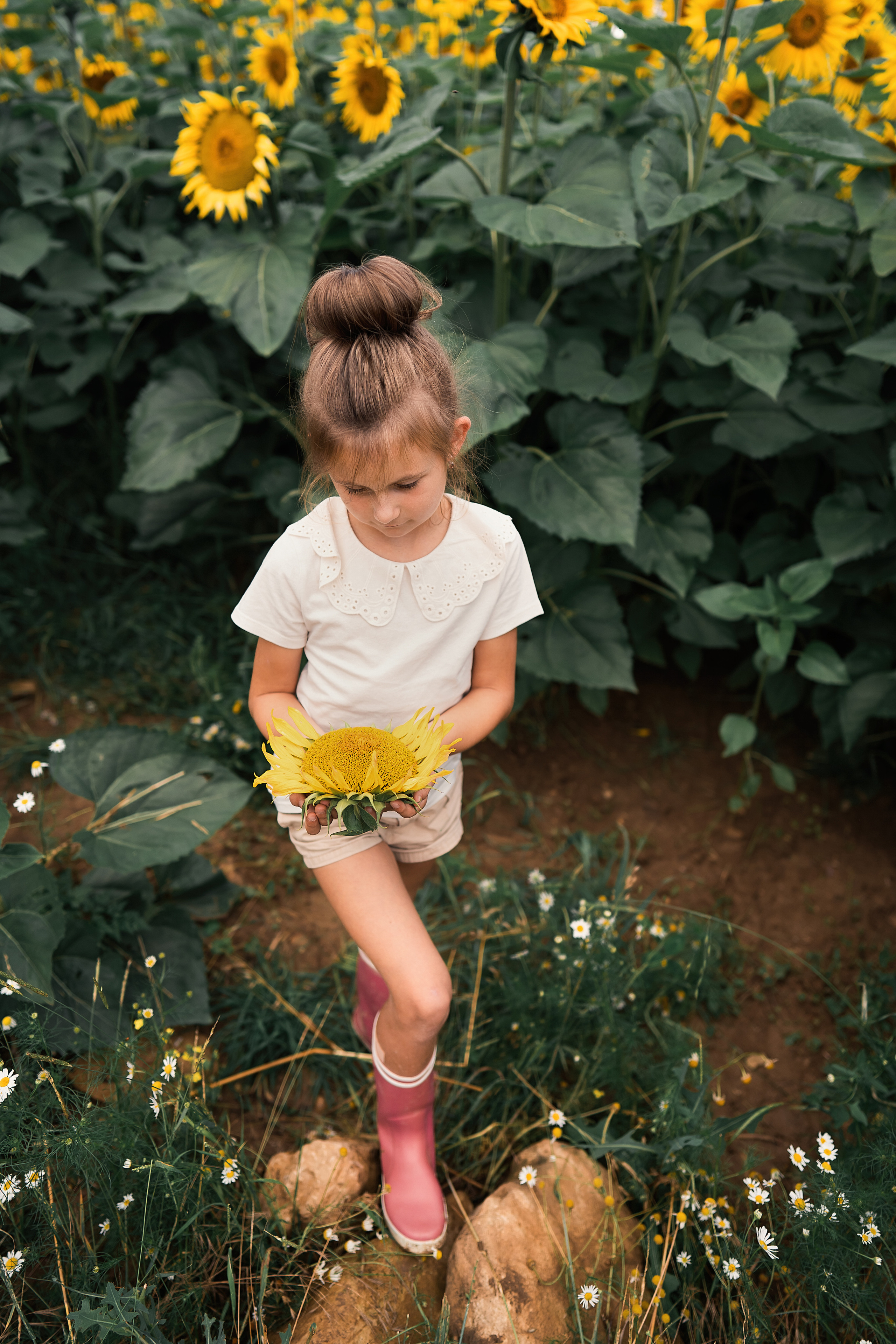 Sonnenblumen. Familien, Lifestyle und Portrait Fotografin in Trier, Luxembourg