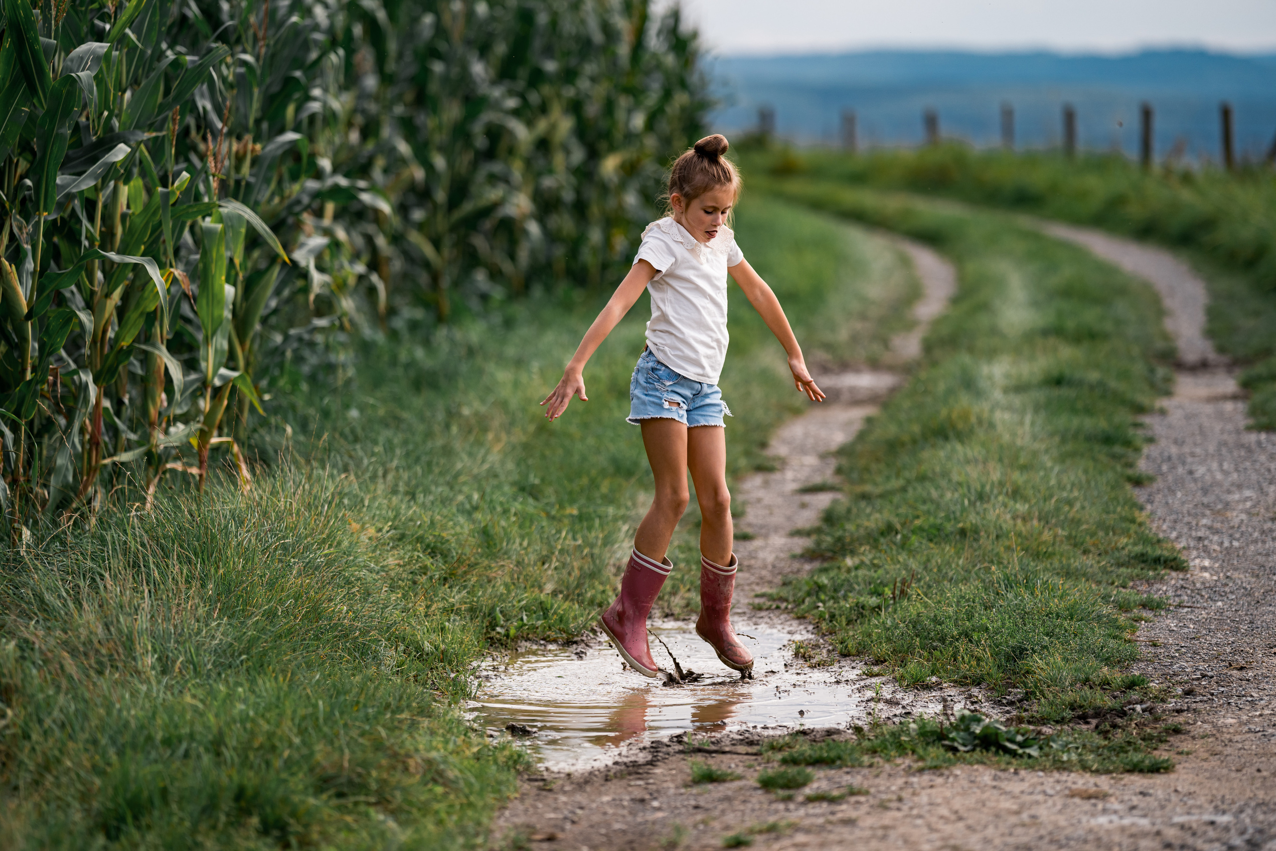Кукурузные поля. Семейный, детский и женский фотограф в Германии, Трире