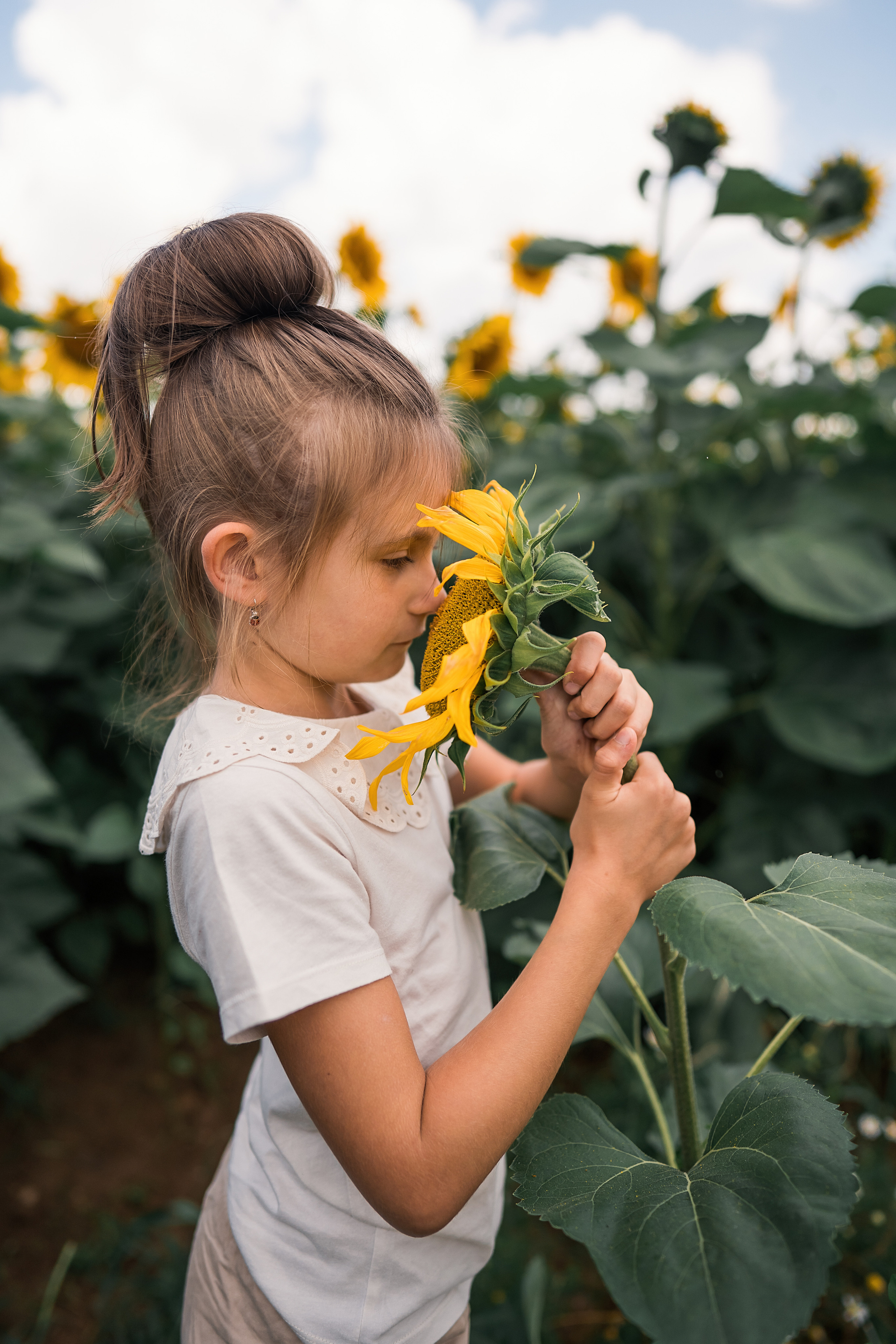 Sonnenblumen. Familien, Lifestyle und Portrait Fotografin in Trier, Luxembourg