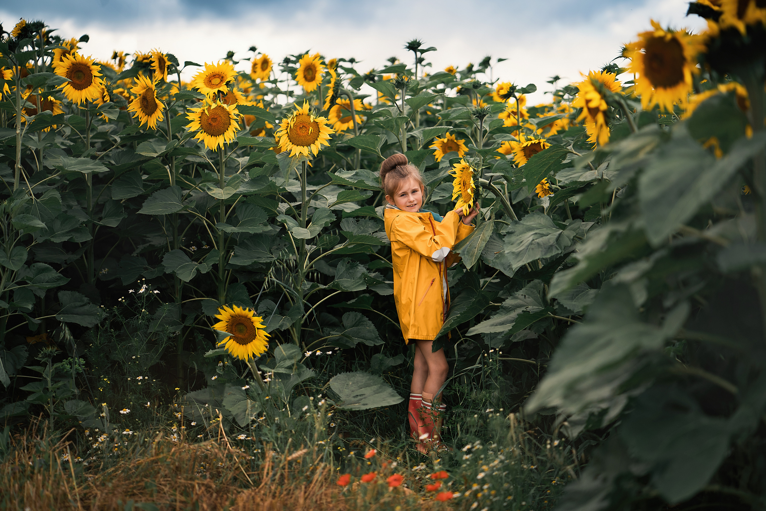 Sonnenblumen. Familien, Lifestyle und Portrait Fotografin in Trier, Luxembourg
