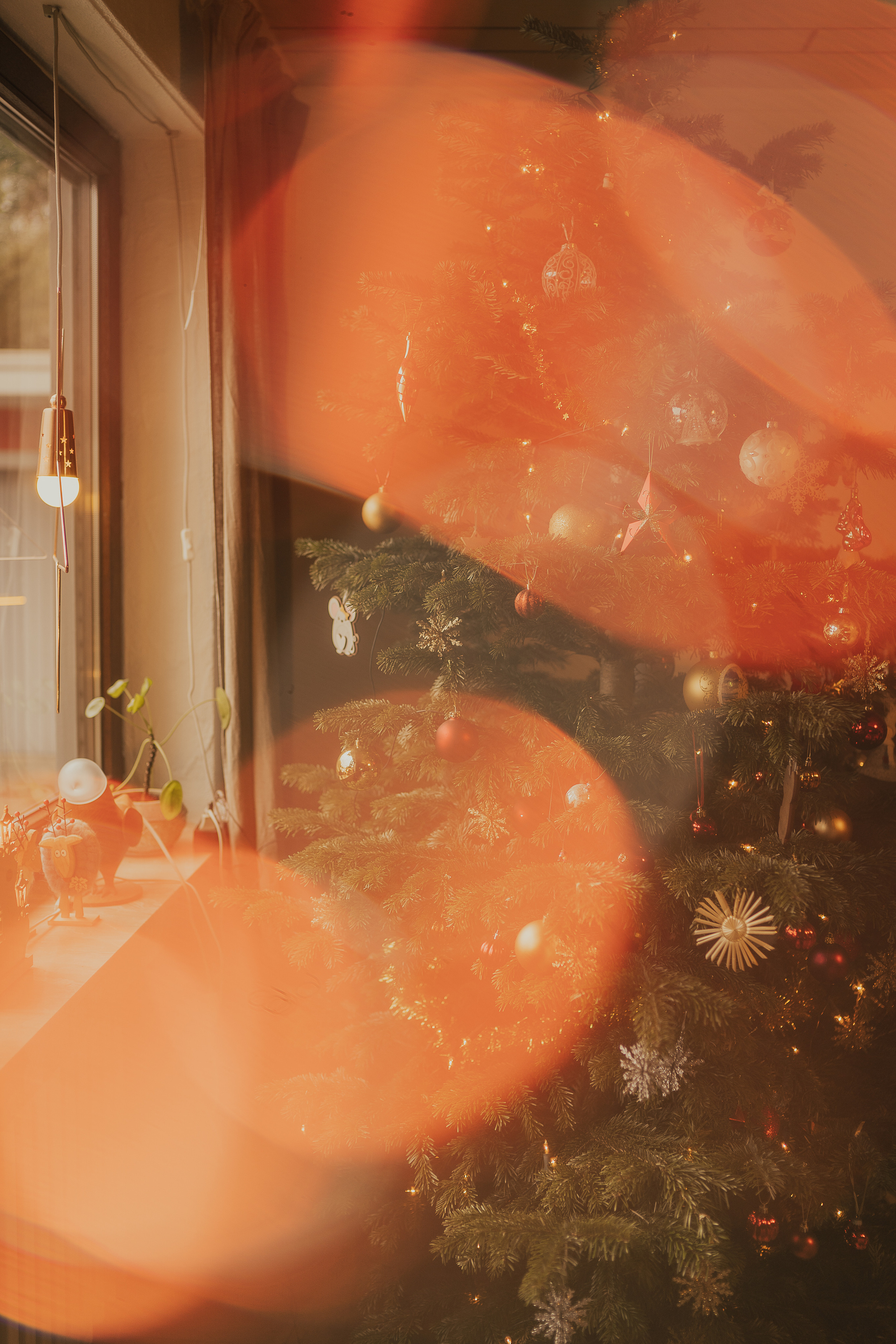 Chirstmas portrait. Family, Lifestyle and Portrait photograher in Trier, Germany